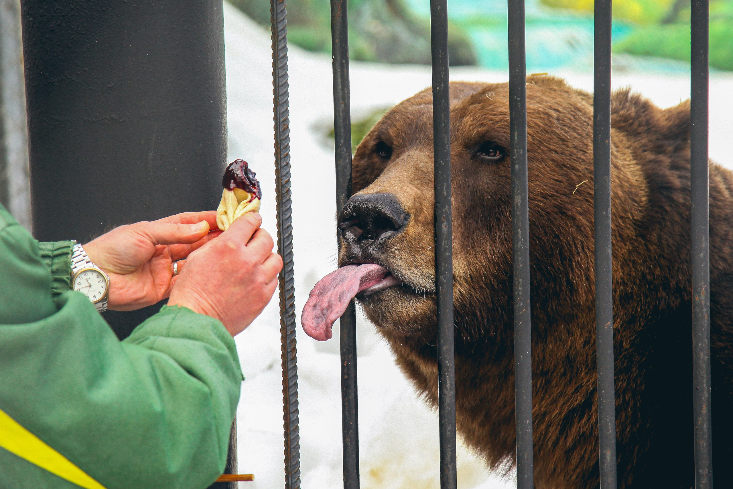 Разное. Фотограф Нижний Новгород