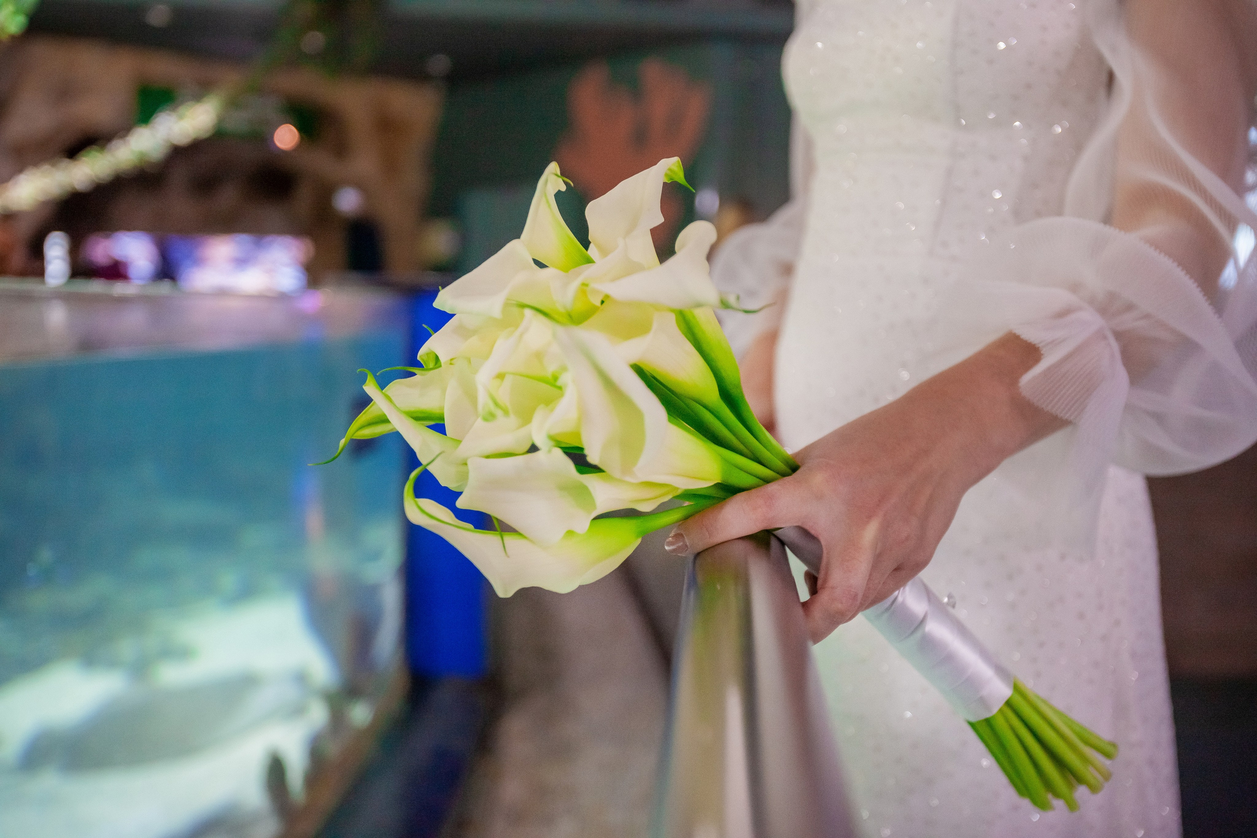 1-12-2023. Главная