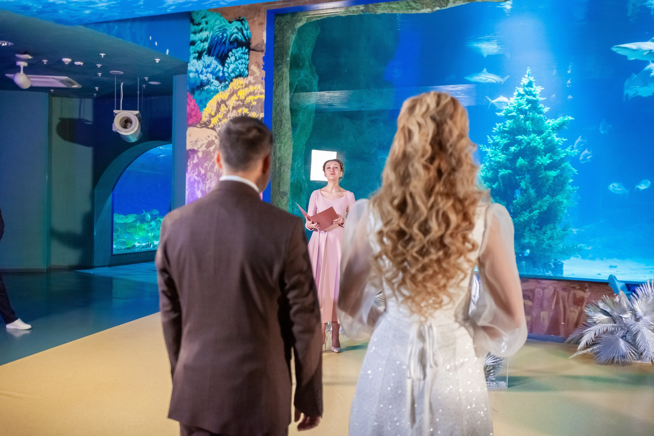 1-12-2023. Главная