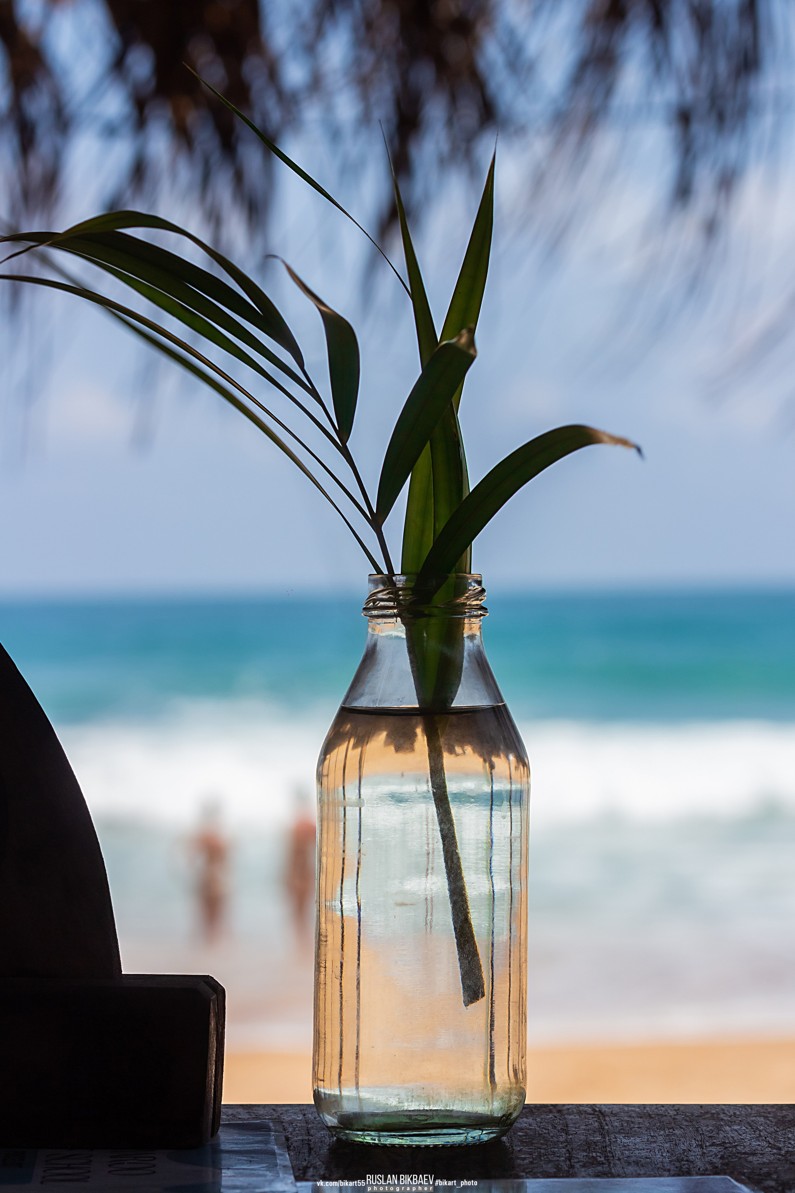 ШРИ-ЛАНКА 2025 / SRI LANKA 2025. Главная