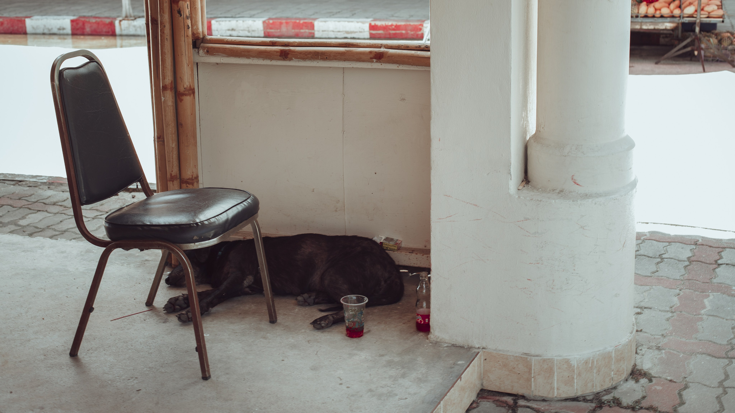 Самуи Собачий остров. Ню Фотограф Александр Касымов Москва, фотосессии, Химки фотограф