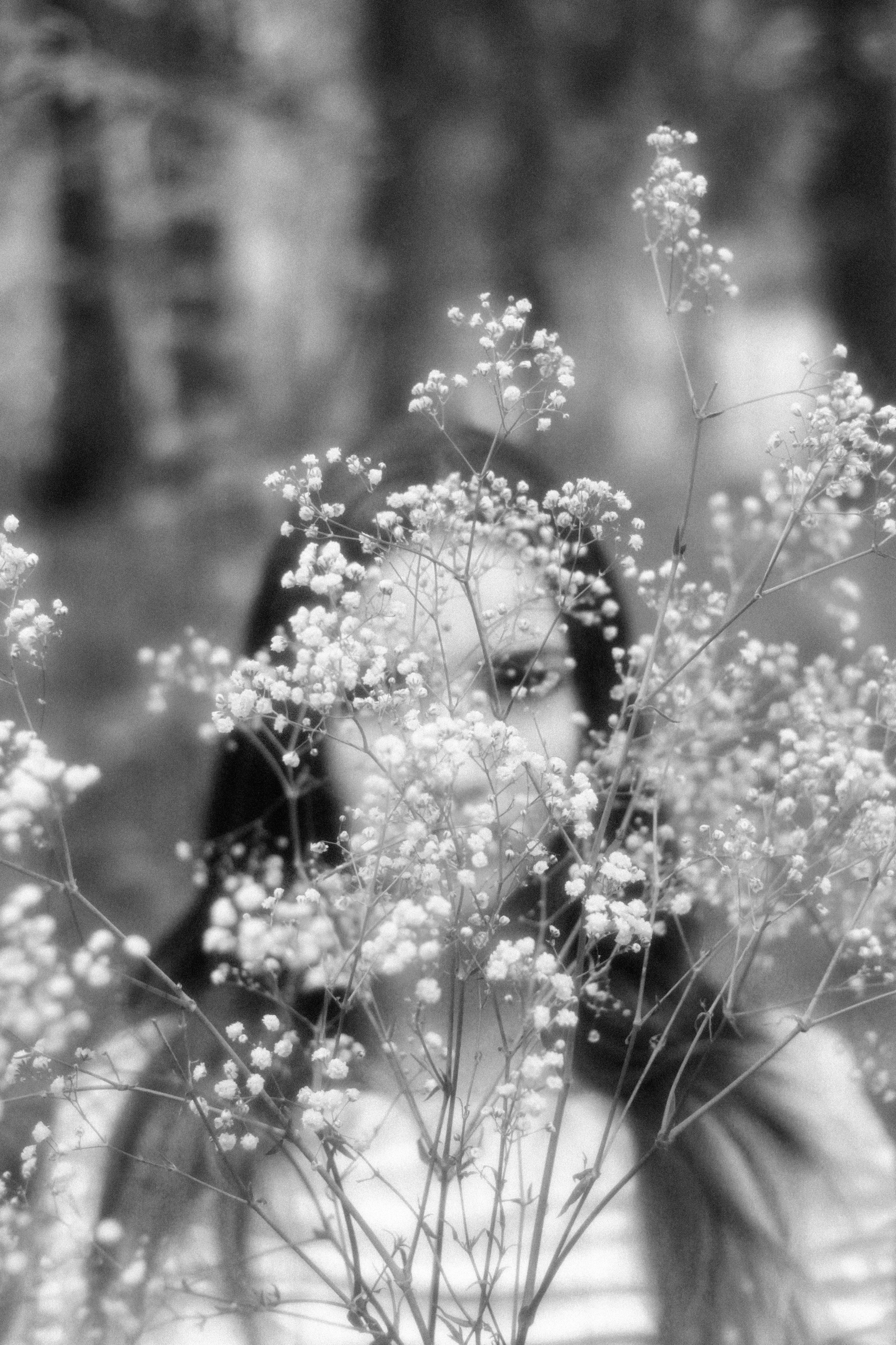 Летняя фотопрогулка в лесу. Espero Photographer — Фотограф в Санкт-Петербурге