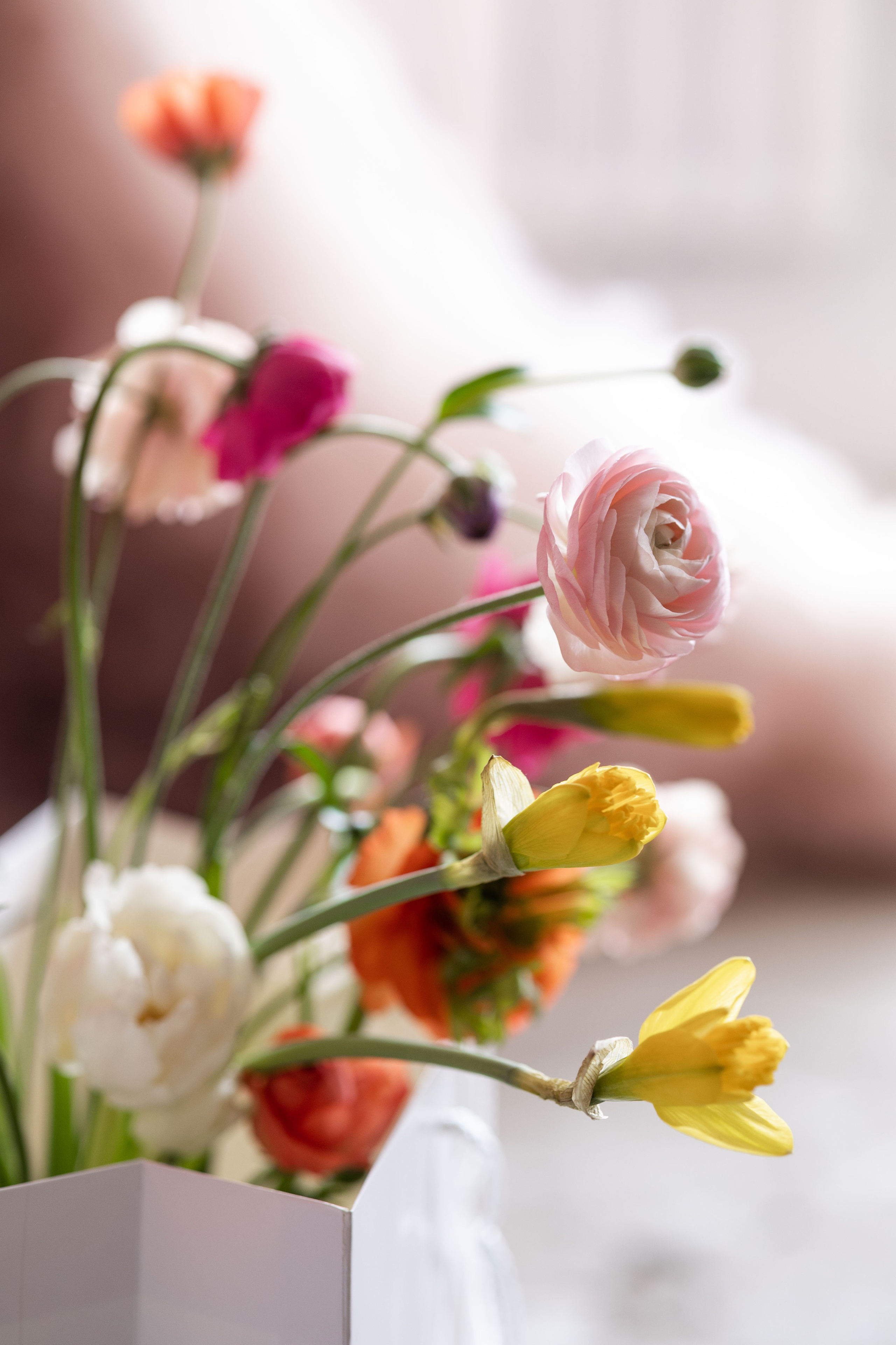 Yaroslav|Bernara workshop by Nasty Alasheeva. Свадебная и семейная фотосъёмка в Казани