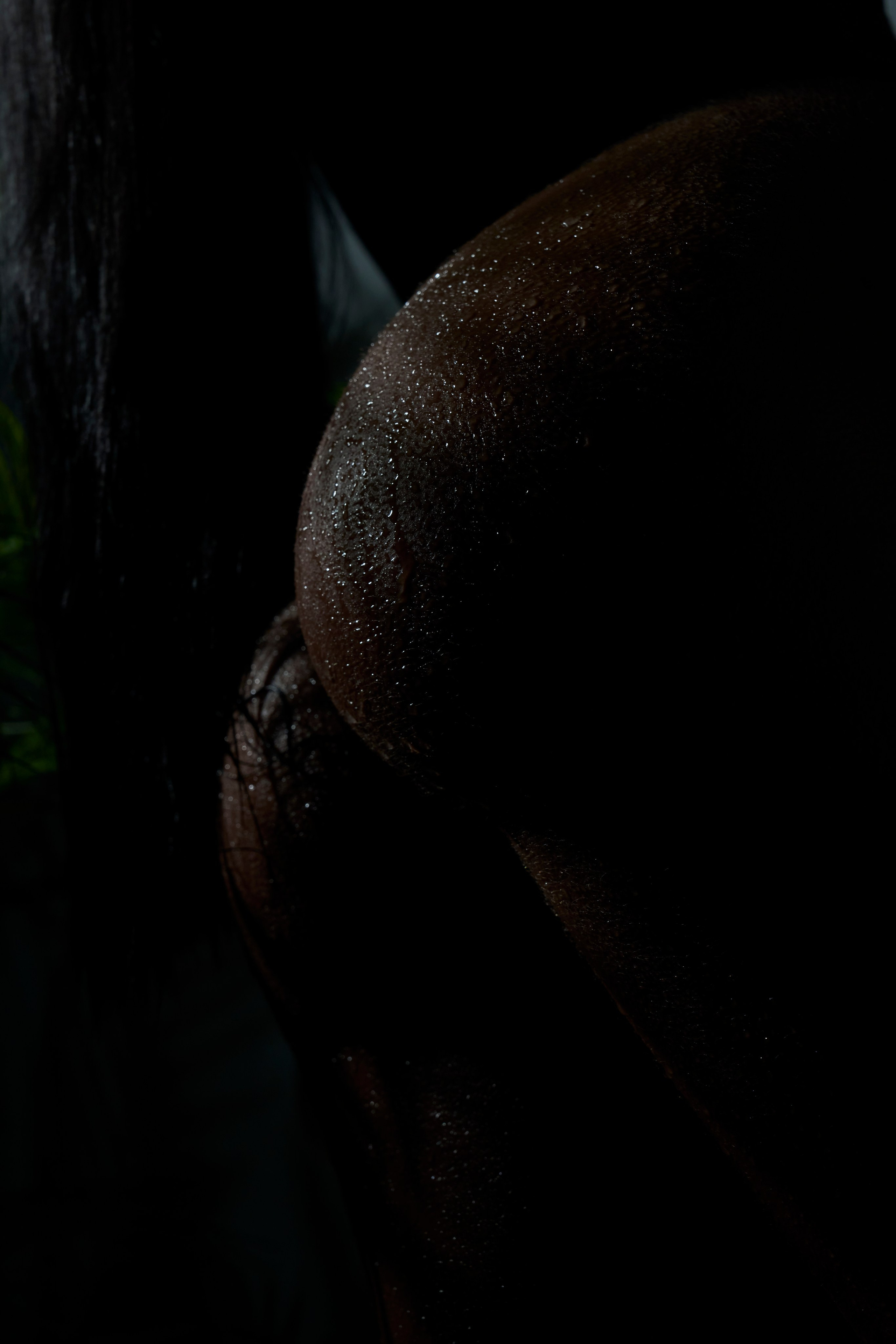 Минималистичная ню-фотосессия в Москве: женские ягодицы в темноте, скользящий свет, акцент на текстуру и форму