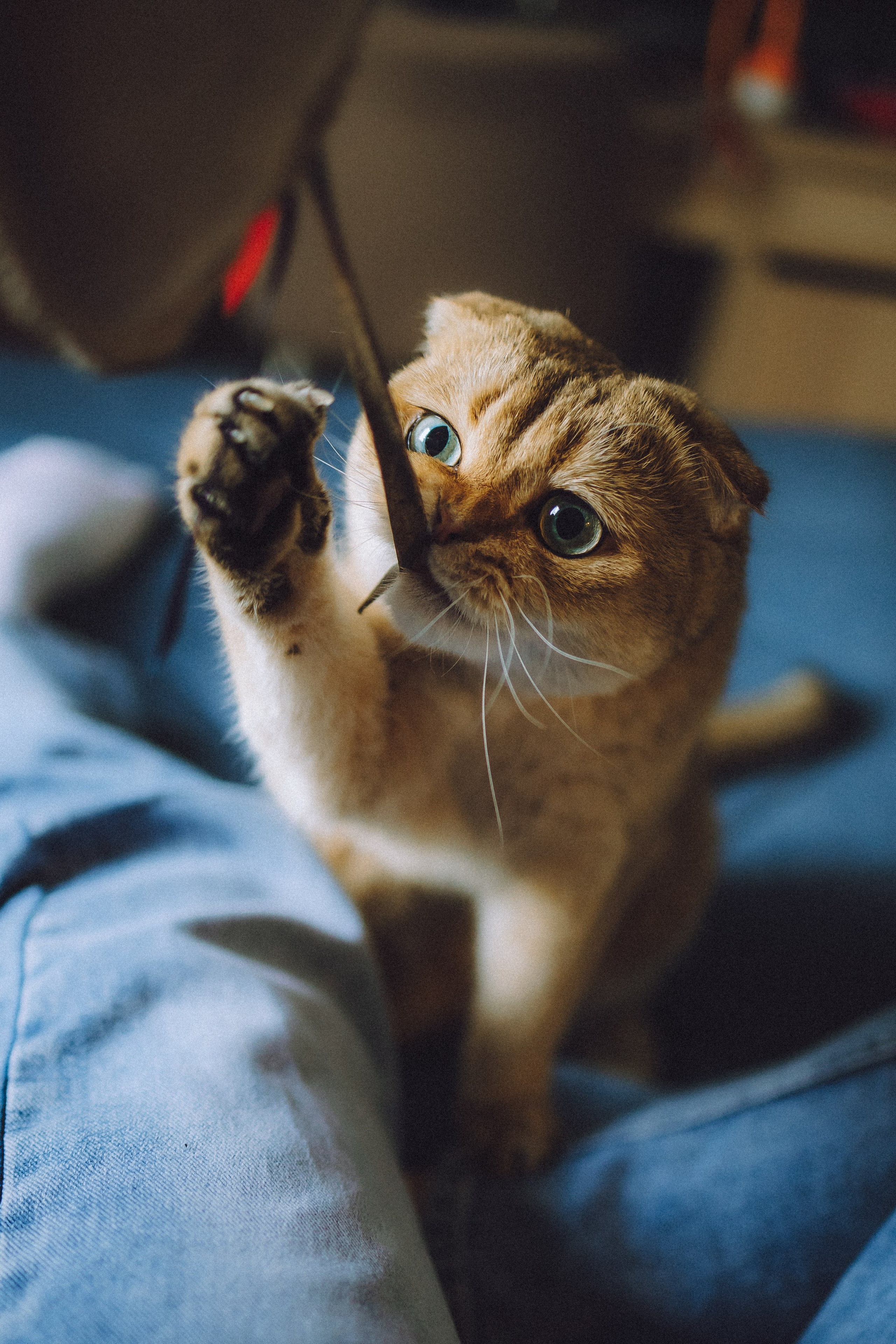 Генри и его семья