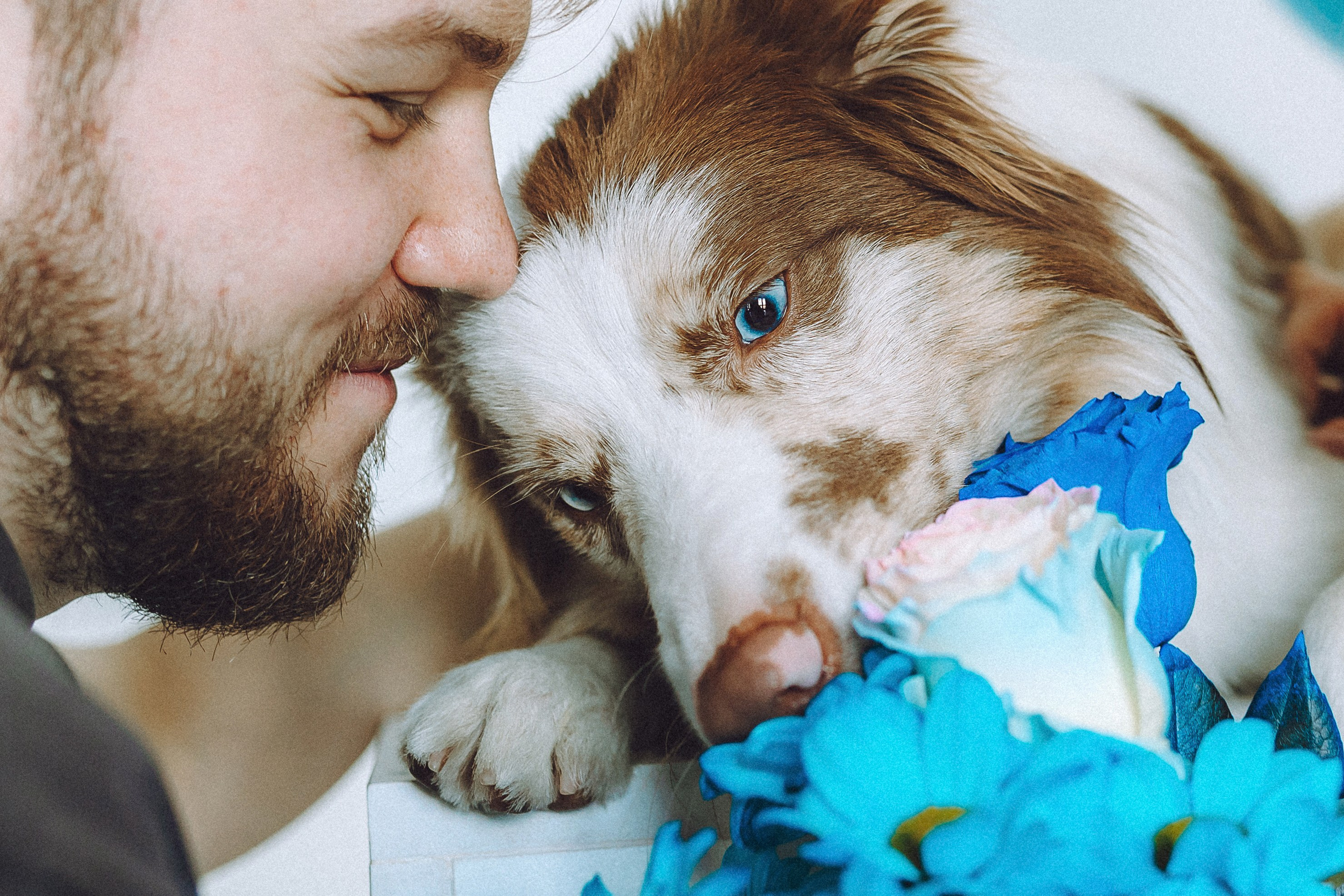 День рождения Айко