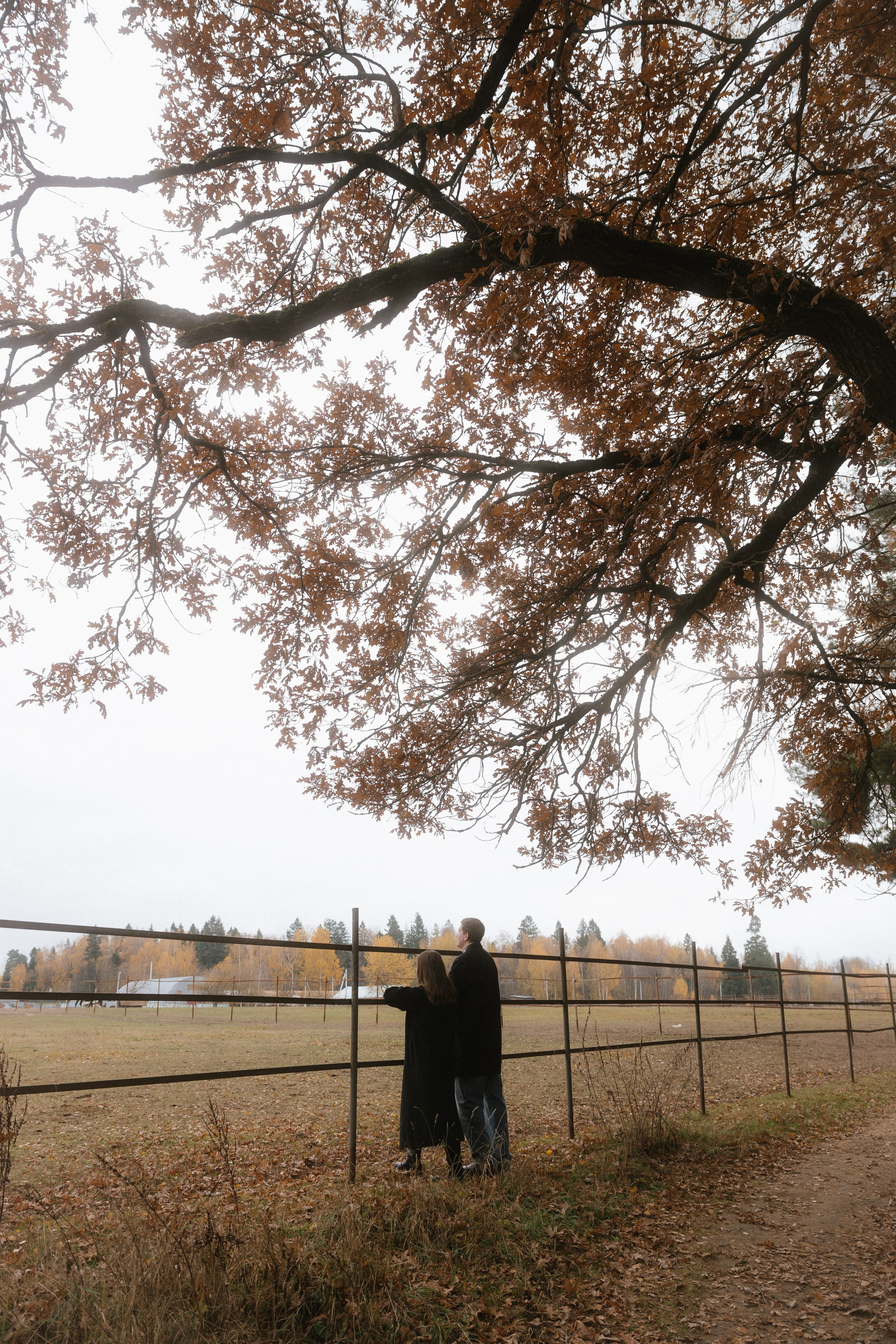 Леша + Лера. Семейный и детский фотограф Юлия Шох