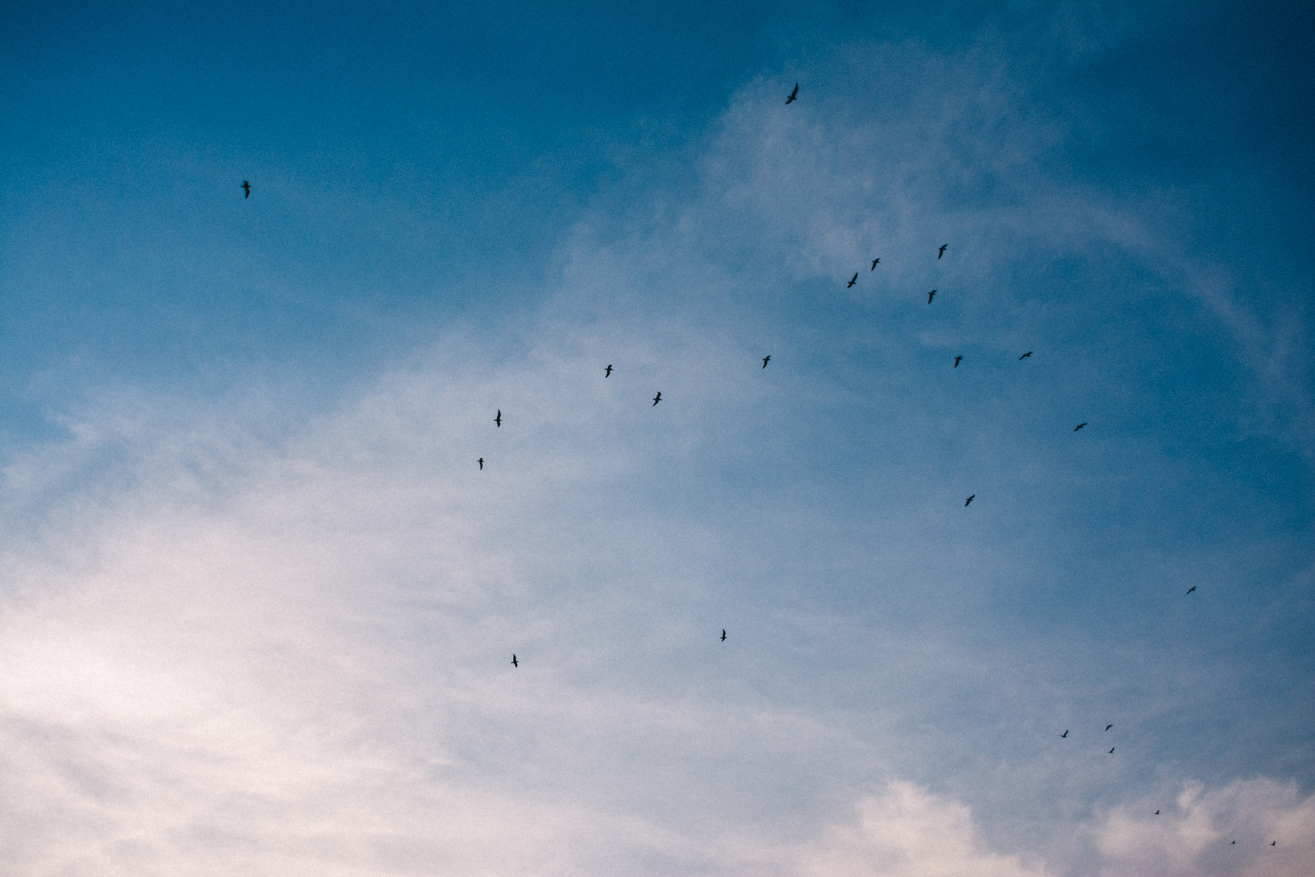 Николай и Татьяна. Свадебный и семейный фотограф в Ижевске Романова Ольга