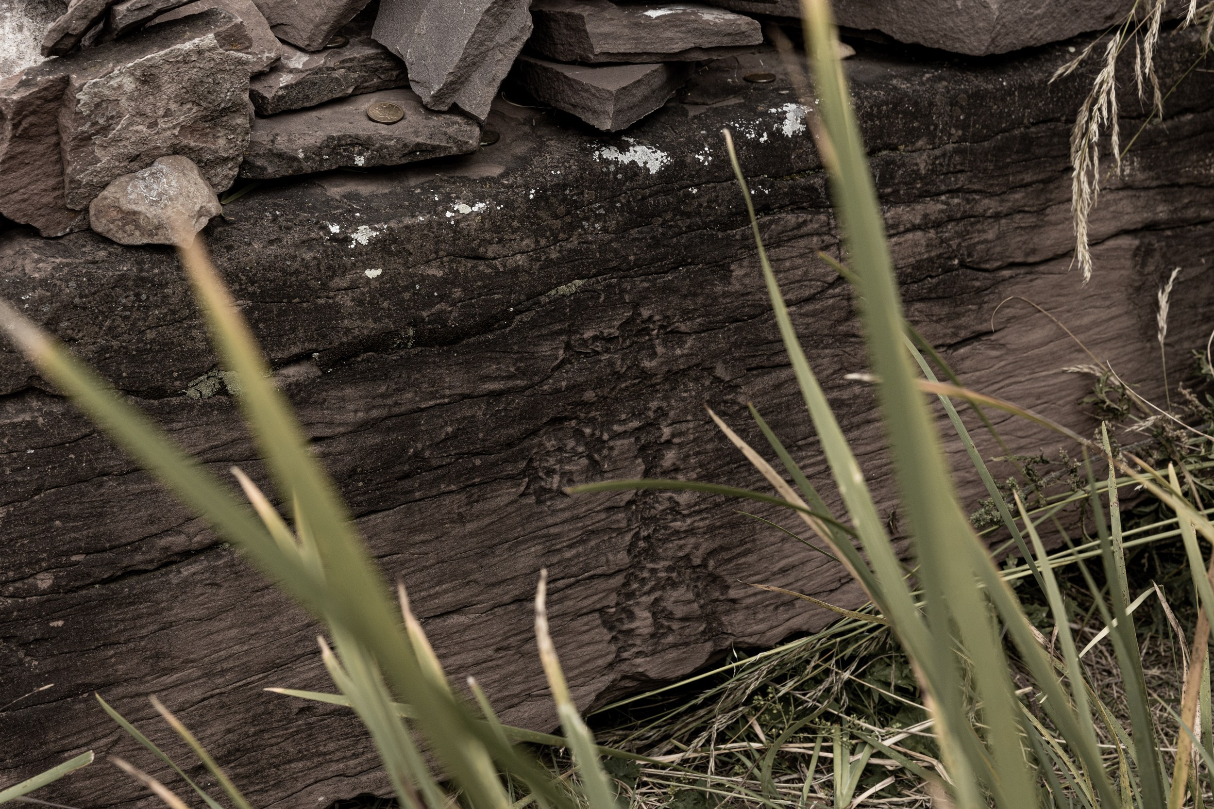 Земля пяти стихий. Yulia Nevskaya, documentary photographer and photojournalist