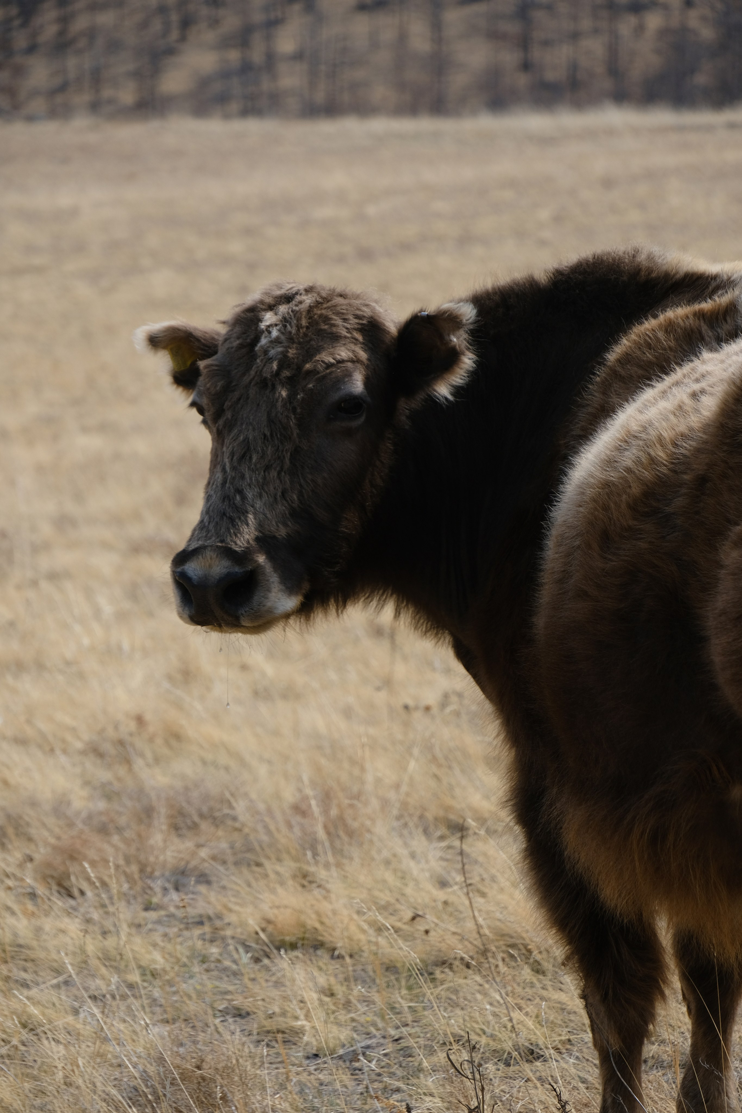 Байкал I Май 2023. Commercial photographer Natalia Bychkova