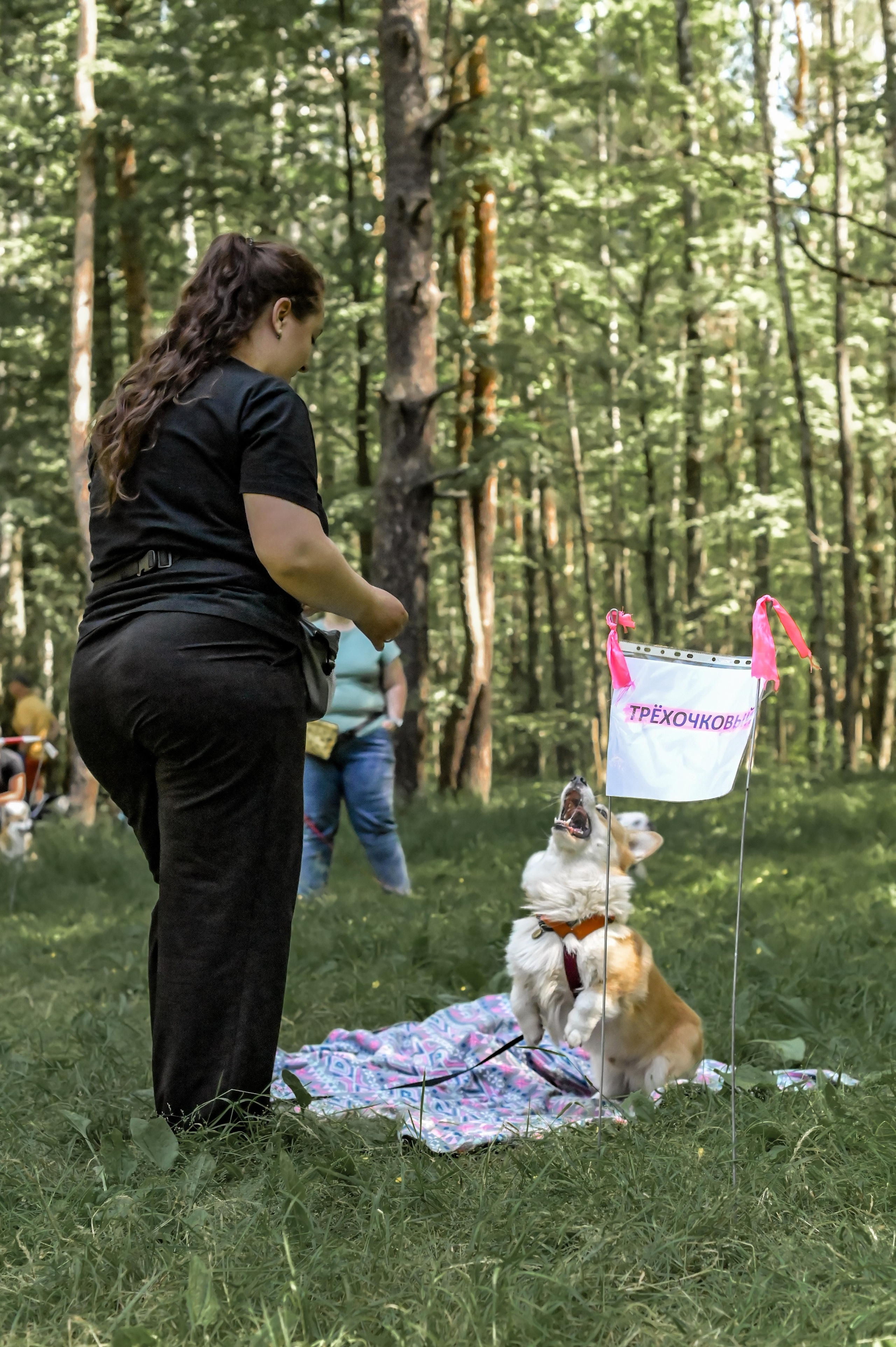 Кинологические соревнования. Семейный и репортажный фотограф в Москве Анастасия Трубкина