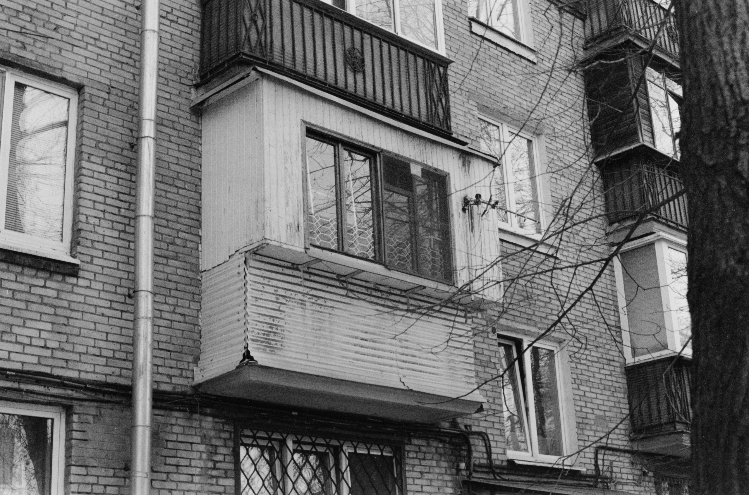 Prints. Maria Abdullaeva