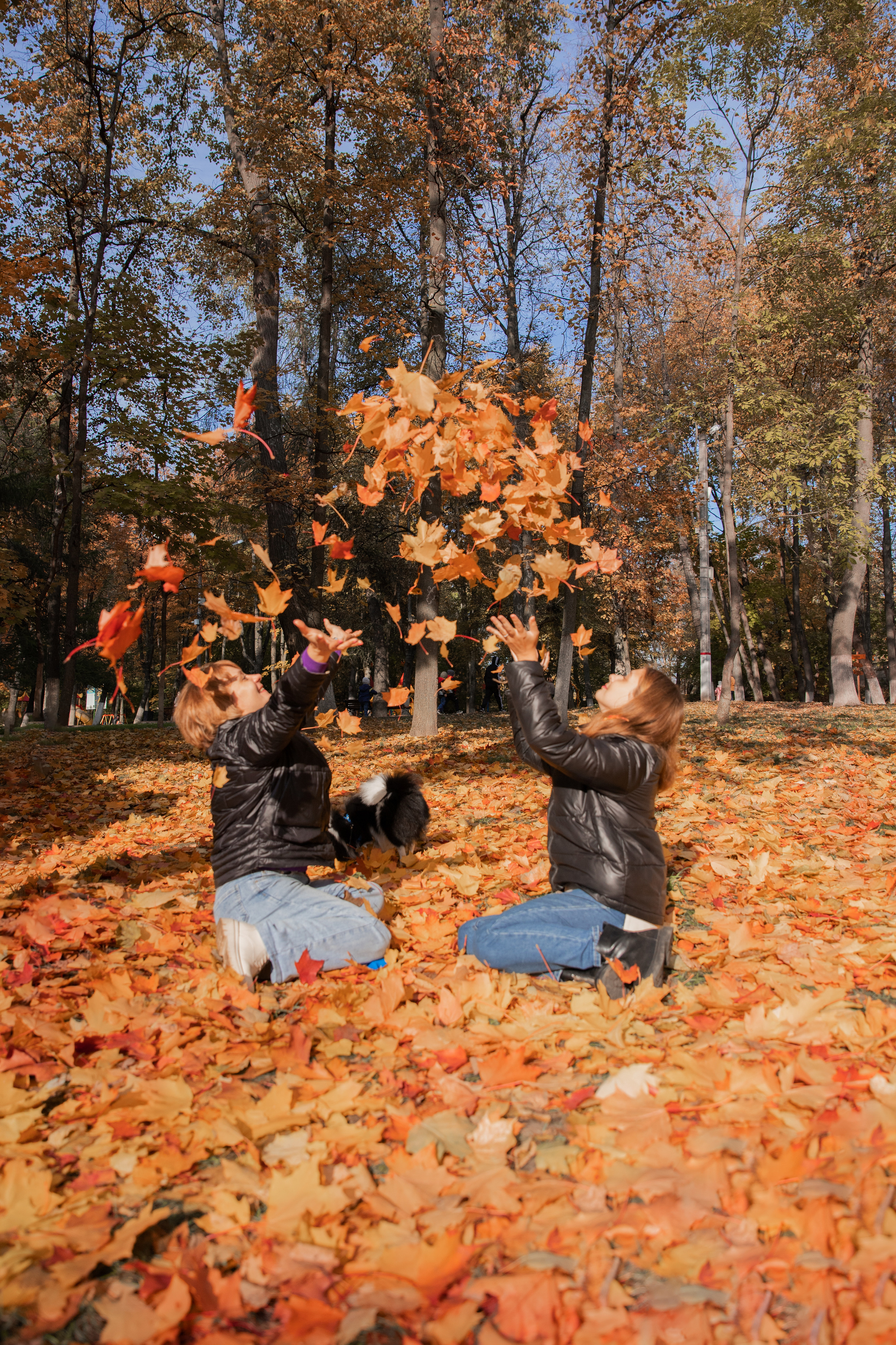 В осеннем парке