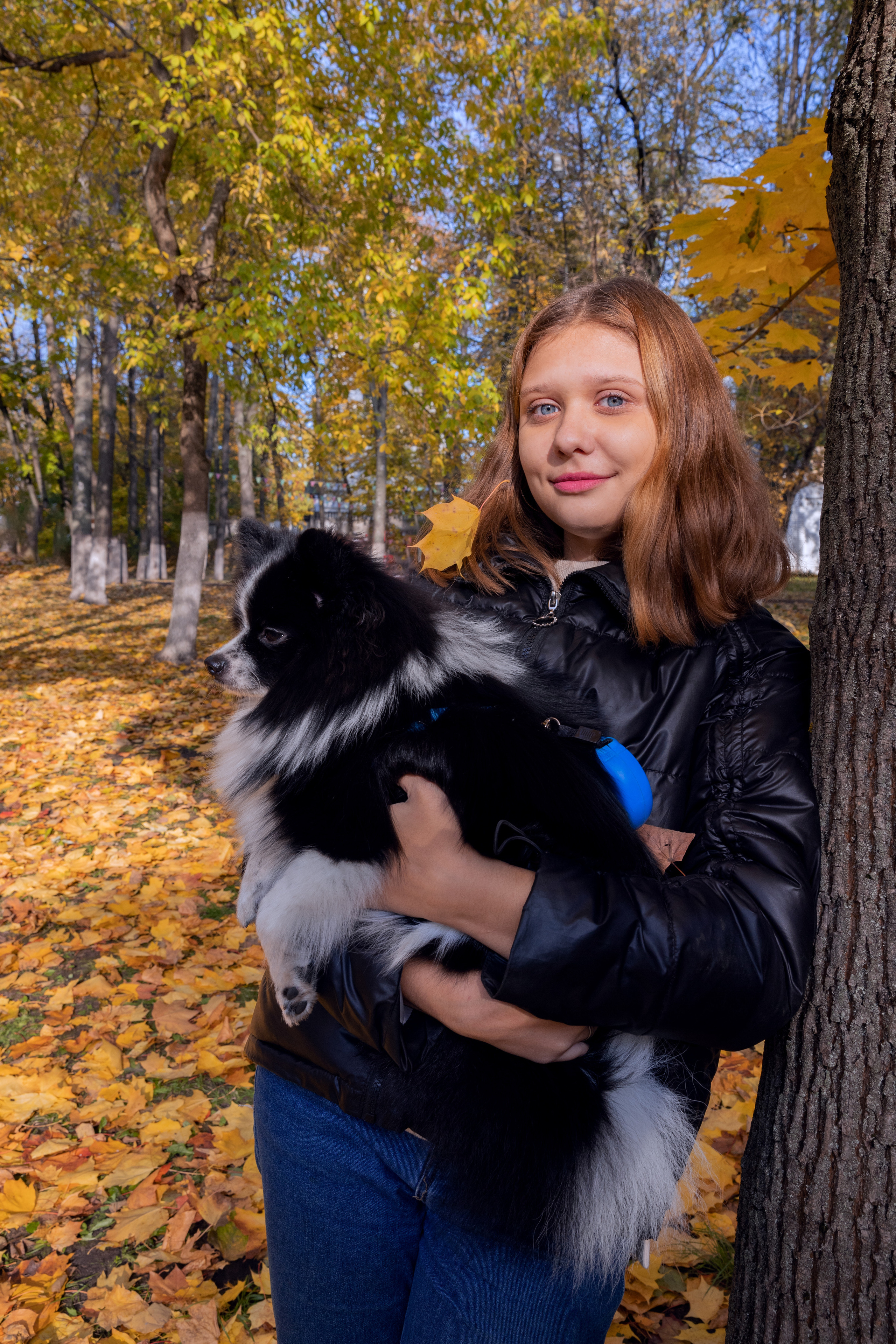 В осеннем парке