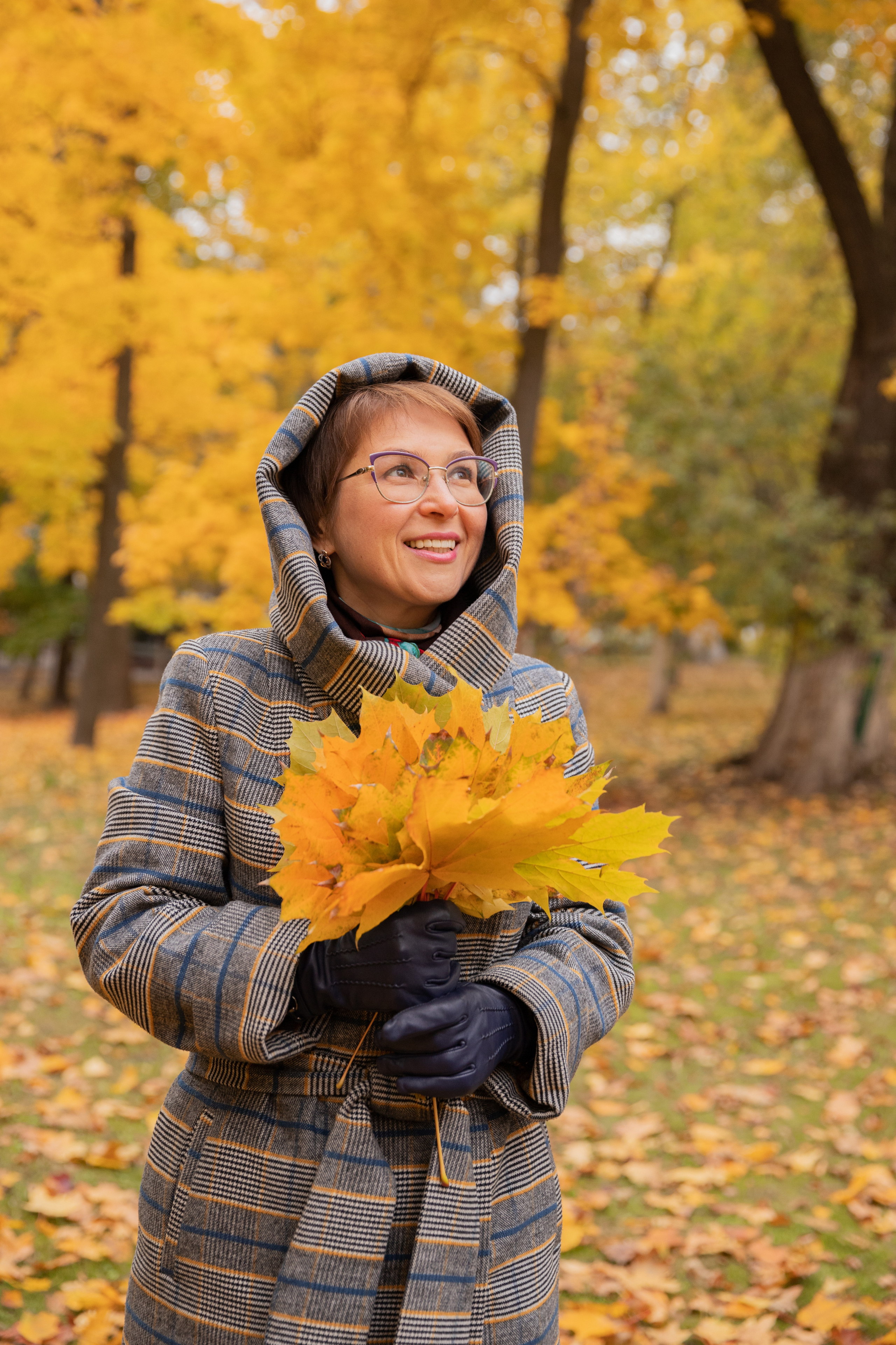 Роза, осенняя прогулка