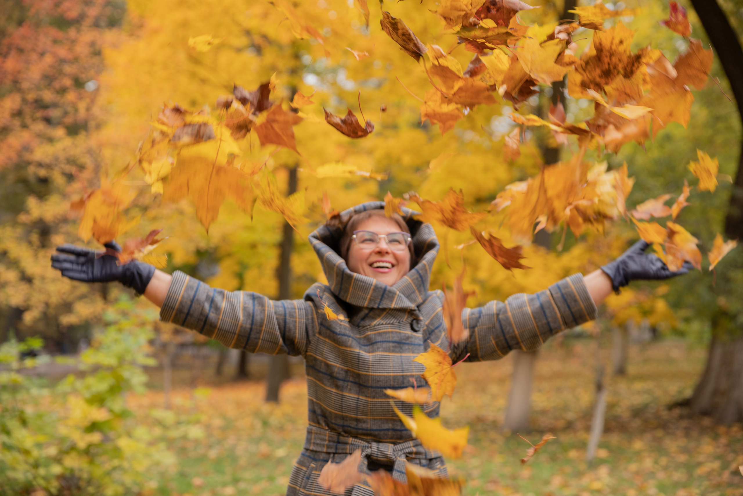 Роза, осенняя прогулка