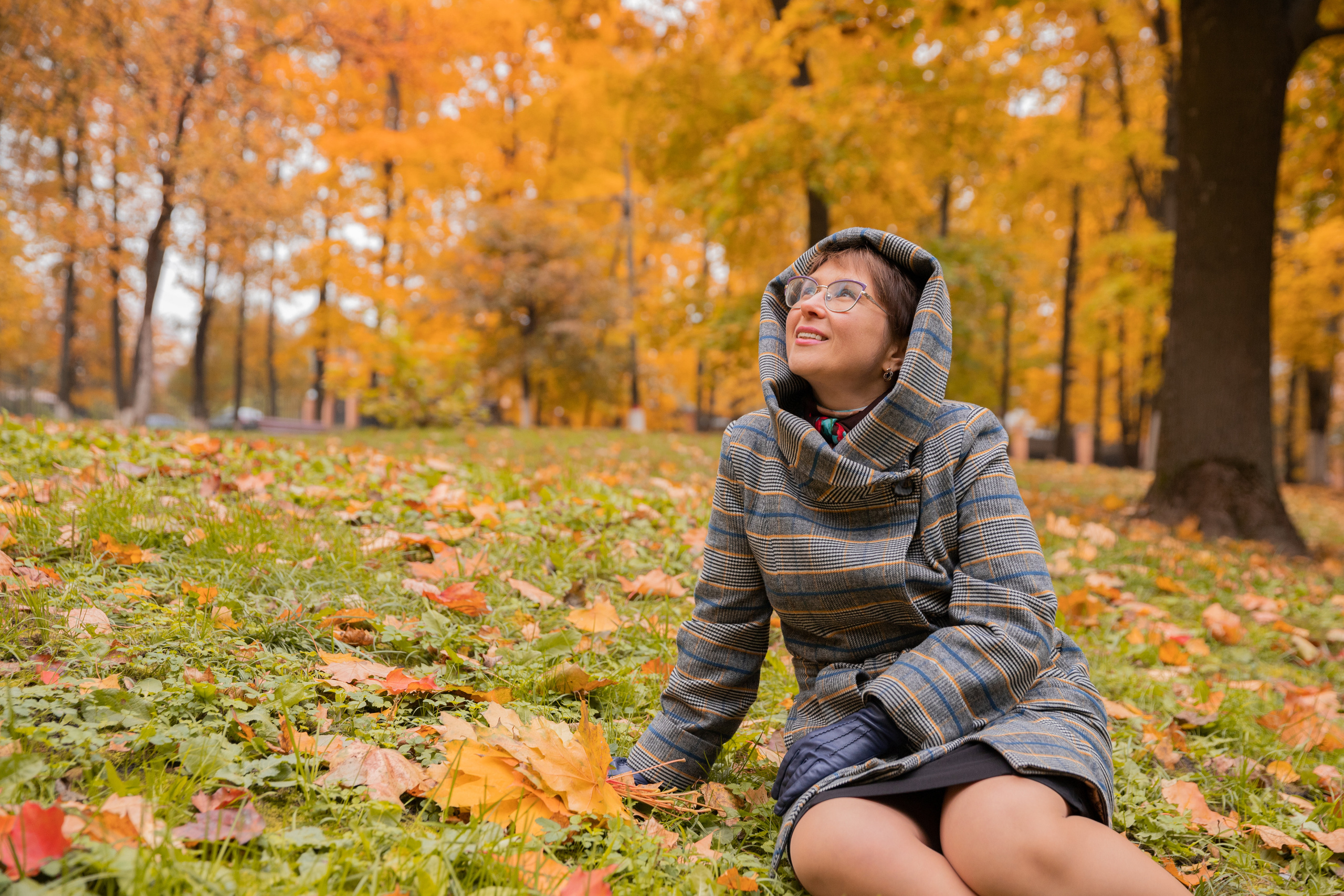 Роза, осенняя прогулка