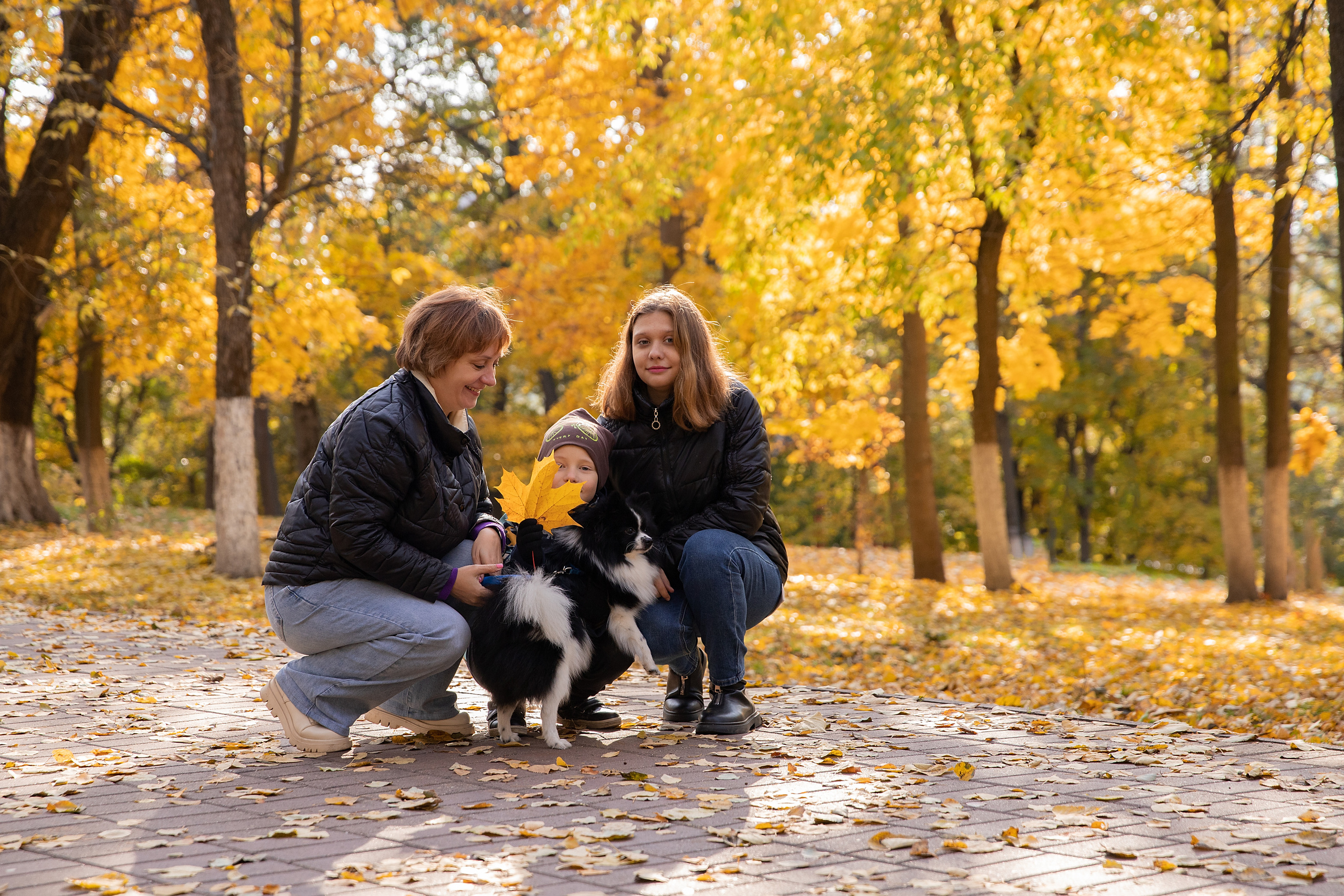 В осеннем парке