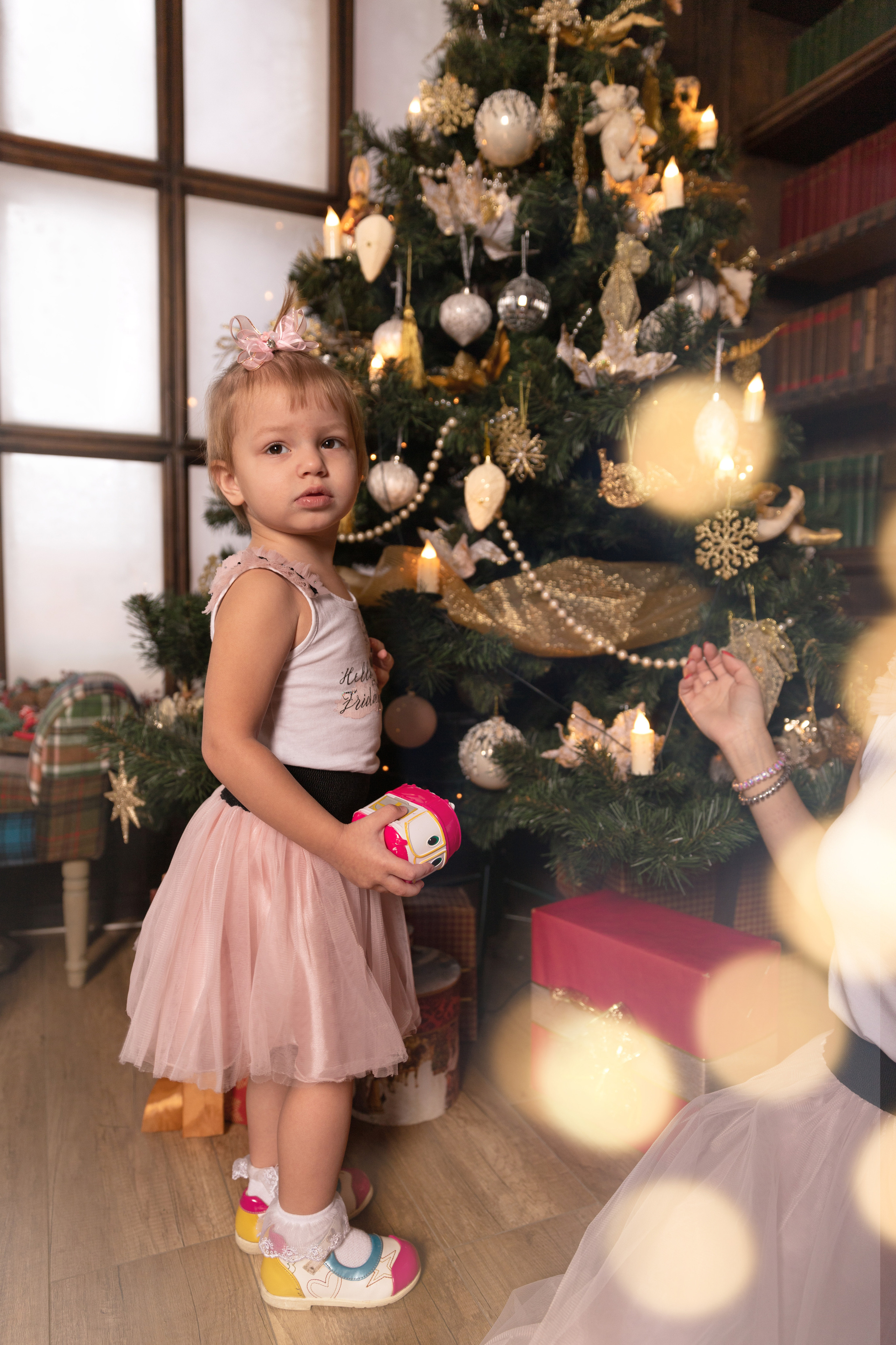 Новогодняя студийная фотосессия