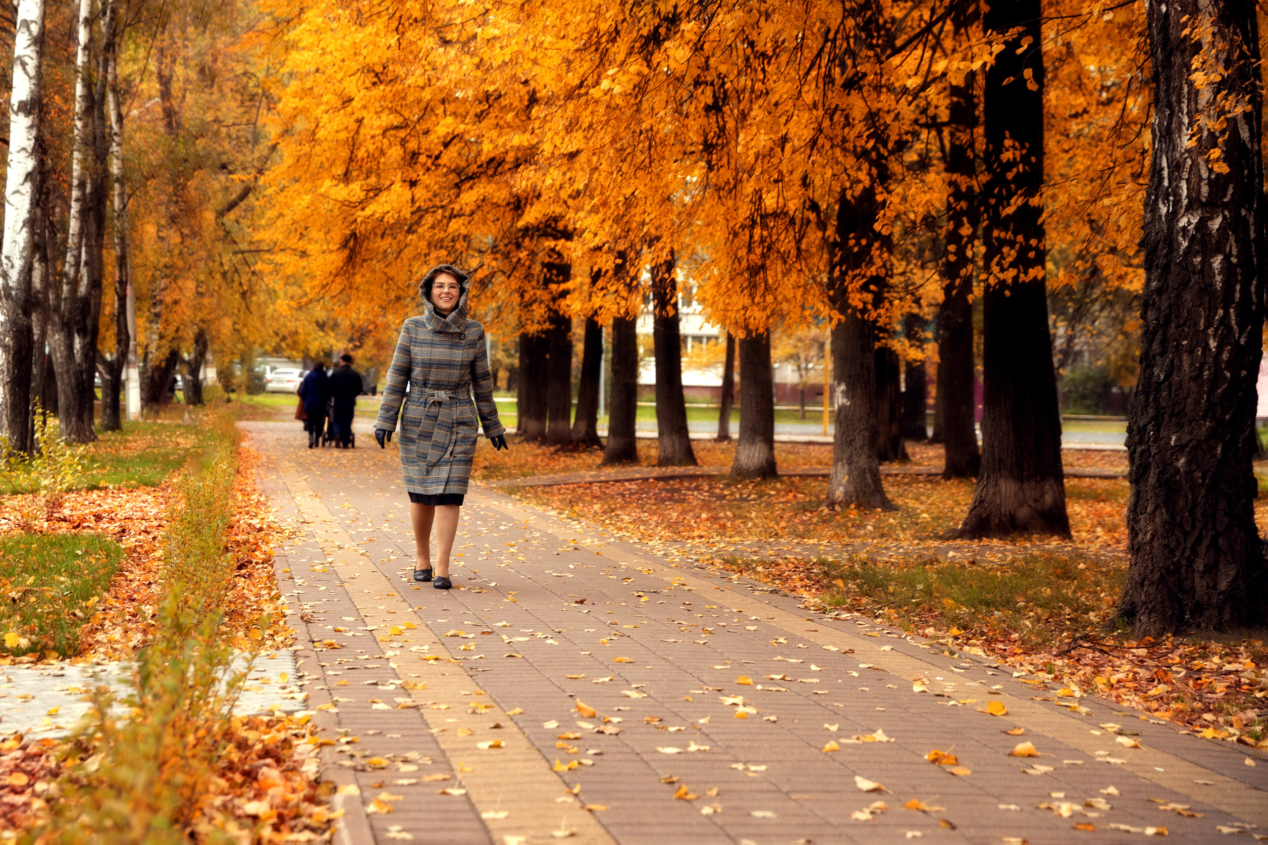 Роза, осенняя прогулка