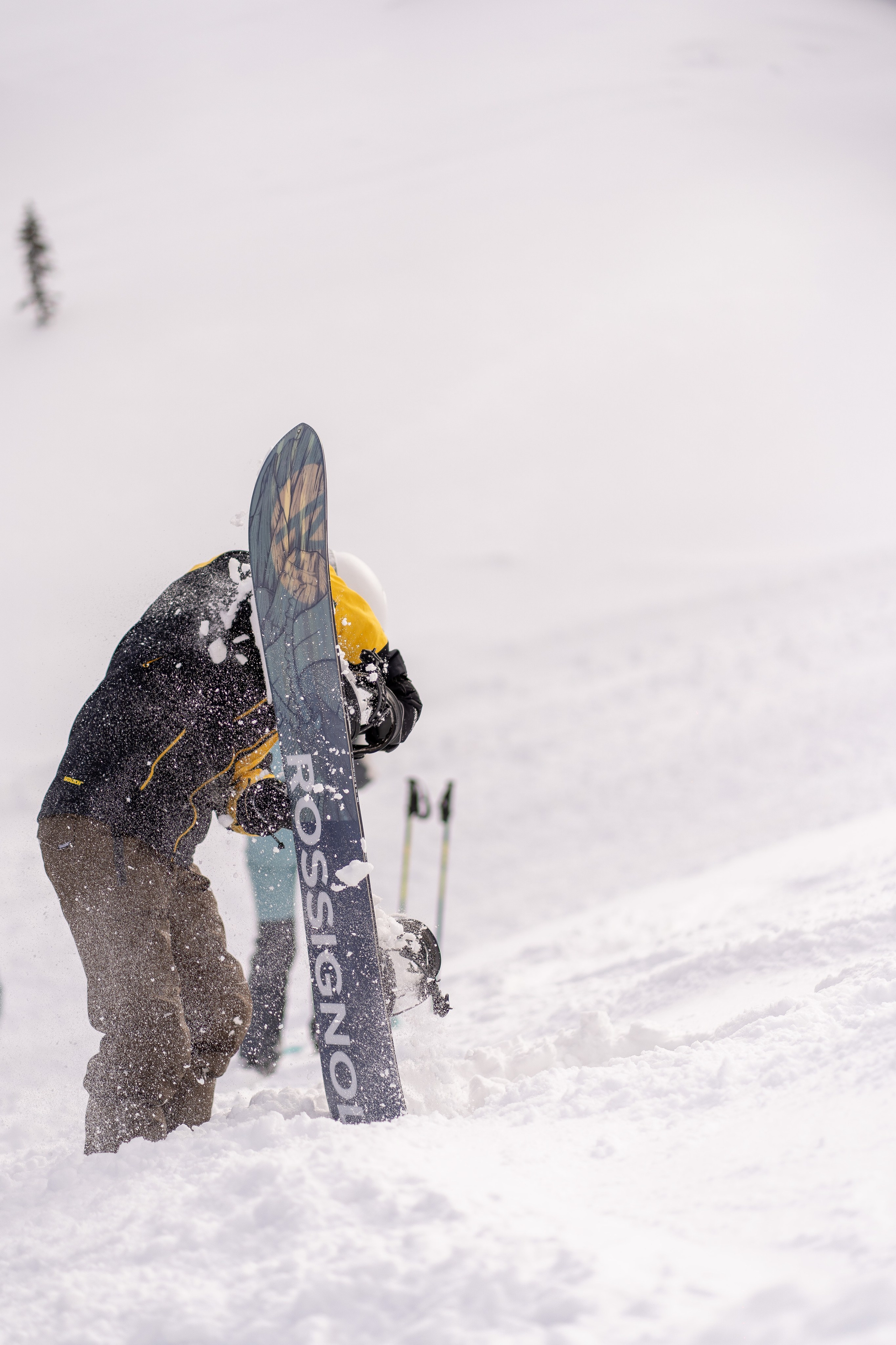 Фрирайд. Анастасия Паршукова — фотограф Шерегеш Новосибирск