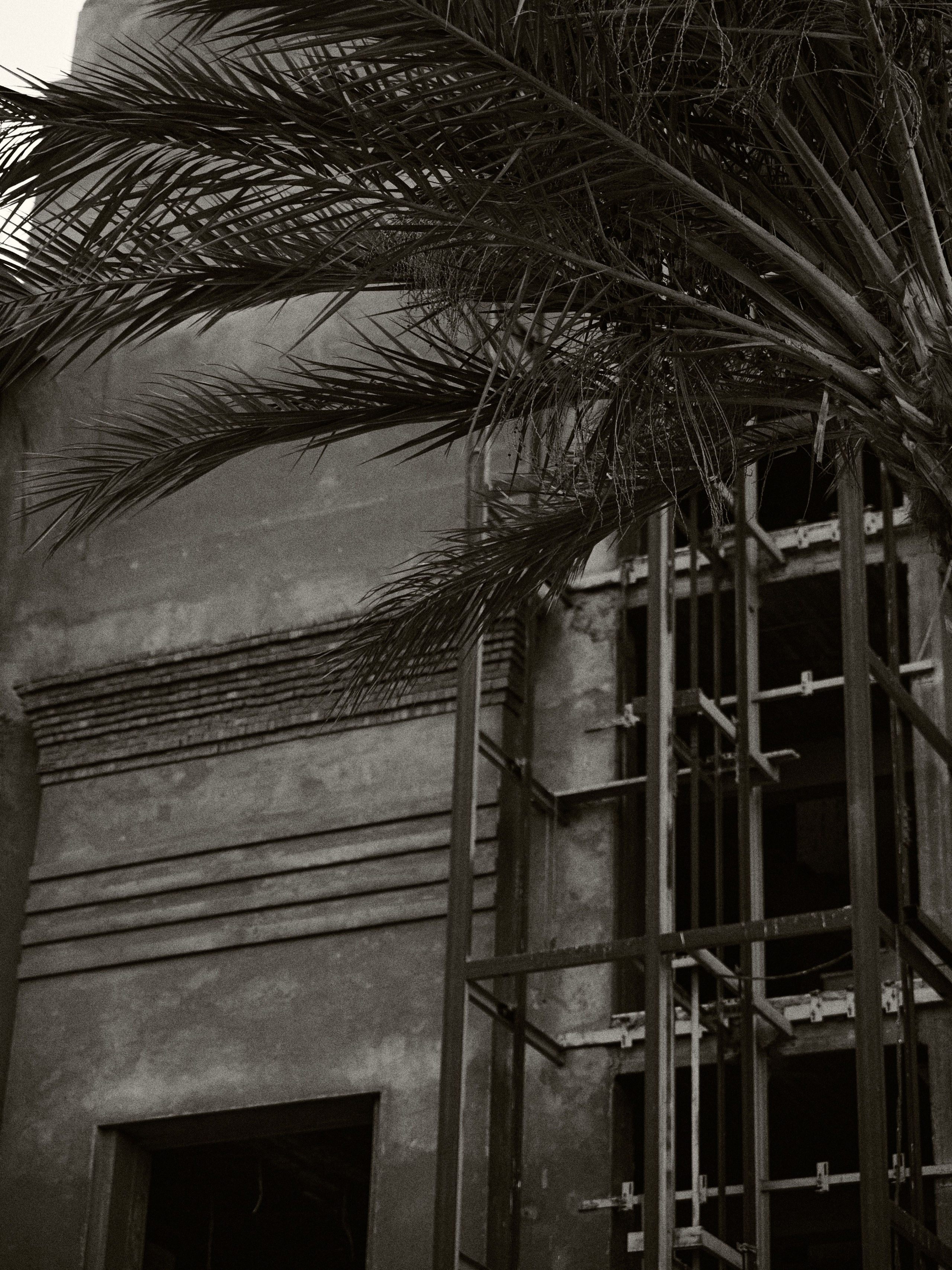 B&W. Jorgis — фотограф в Хургаде / обучение фотографии