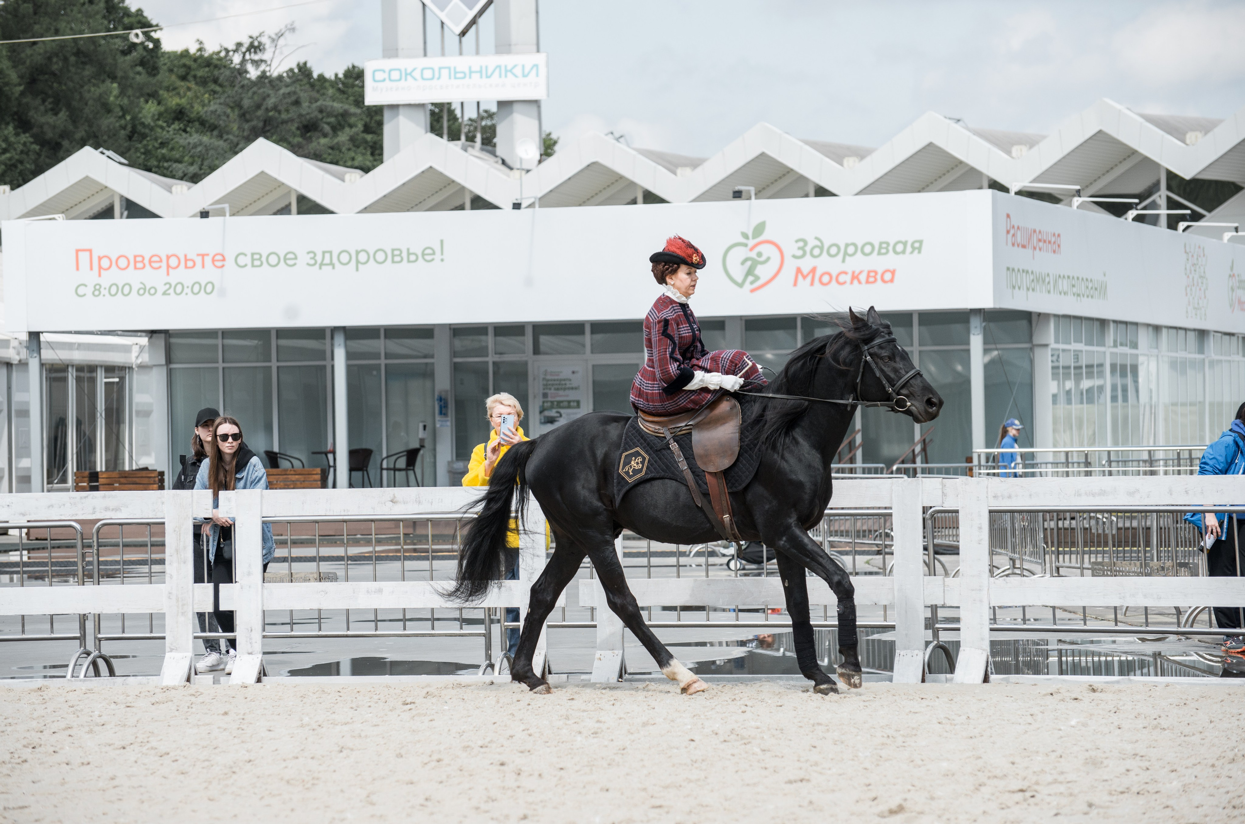 Эквирос, Москва. Конный фотограф в Саратове Юлия Иванова