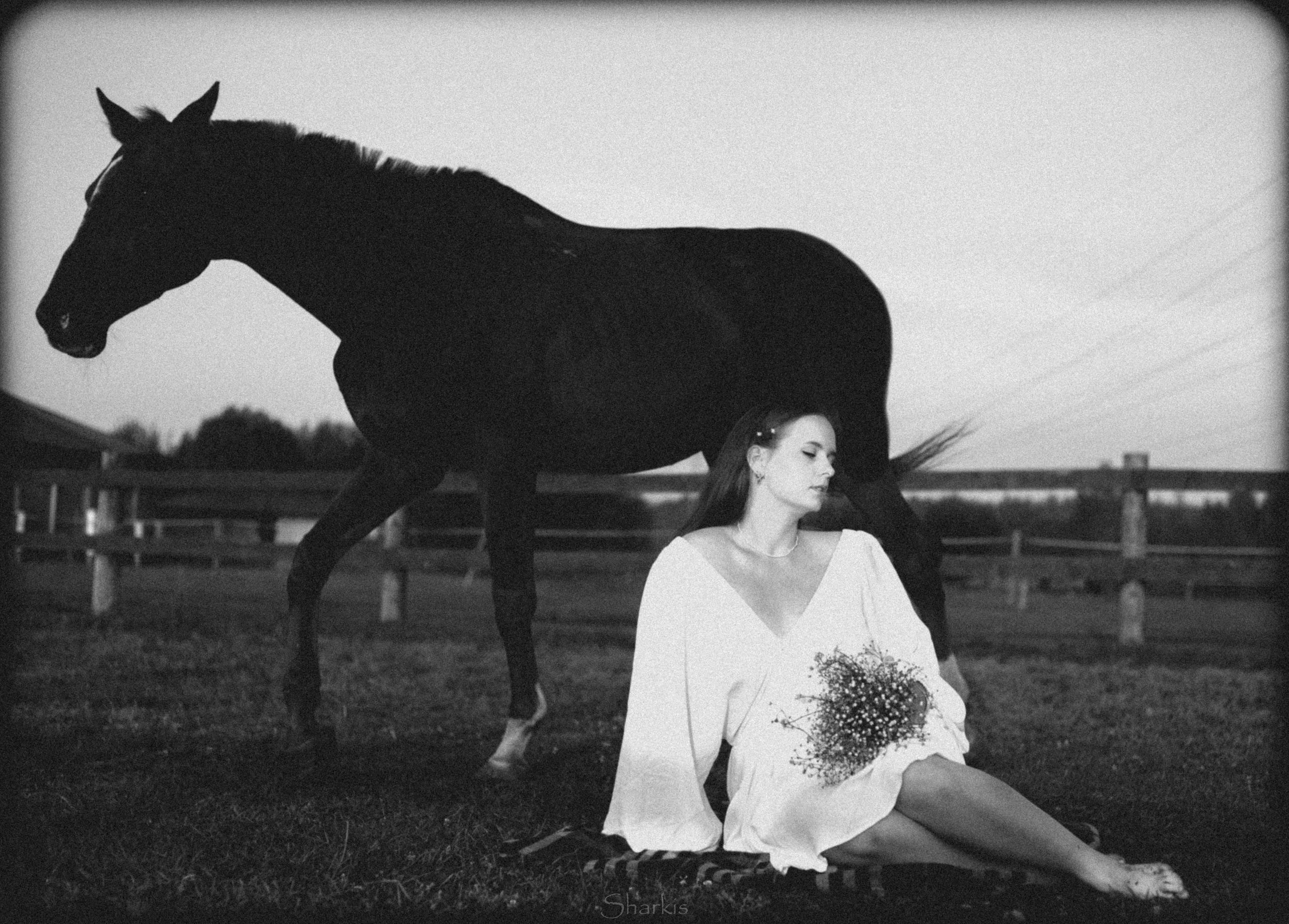 Аня и Гас. Главная