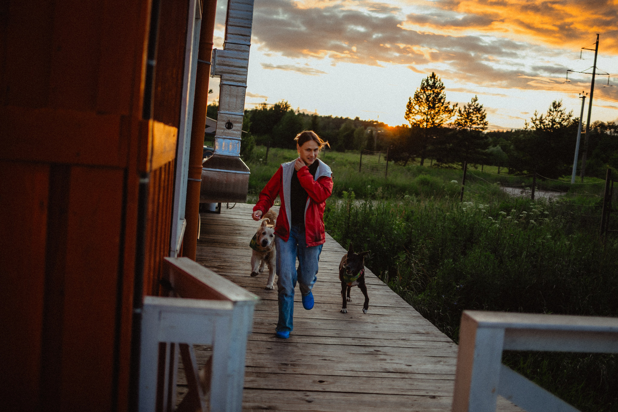 Выездной дог-тренинг от школы «Шерсть имею»