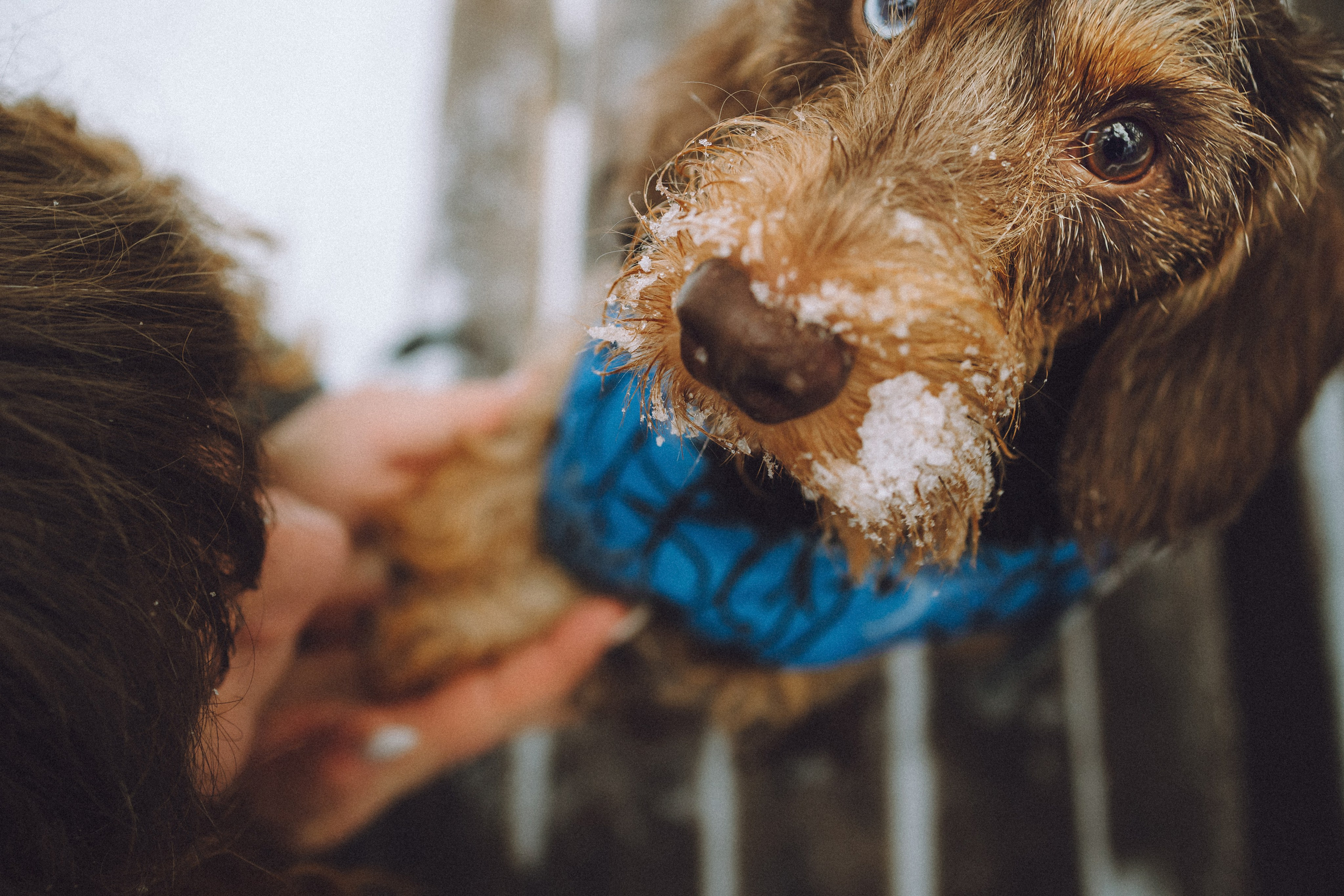 Каспер и его семья