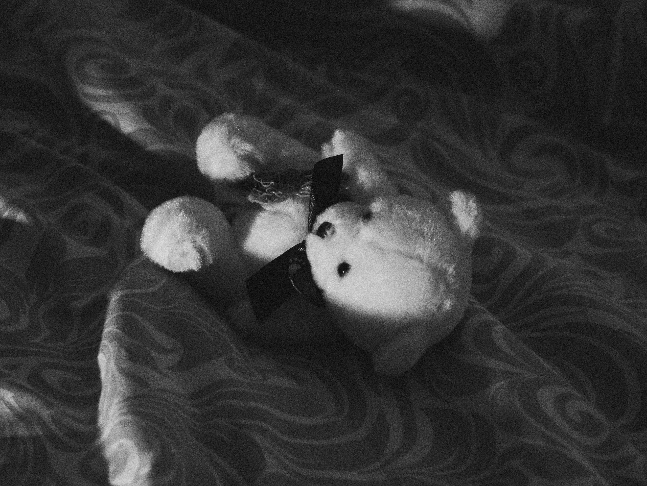 Фотосессия рождения. Фотограф в Омске Долговых Катерина