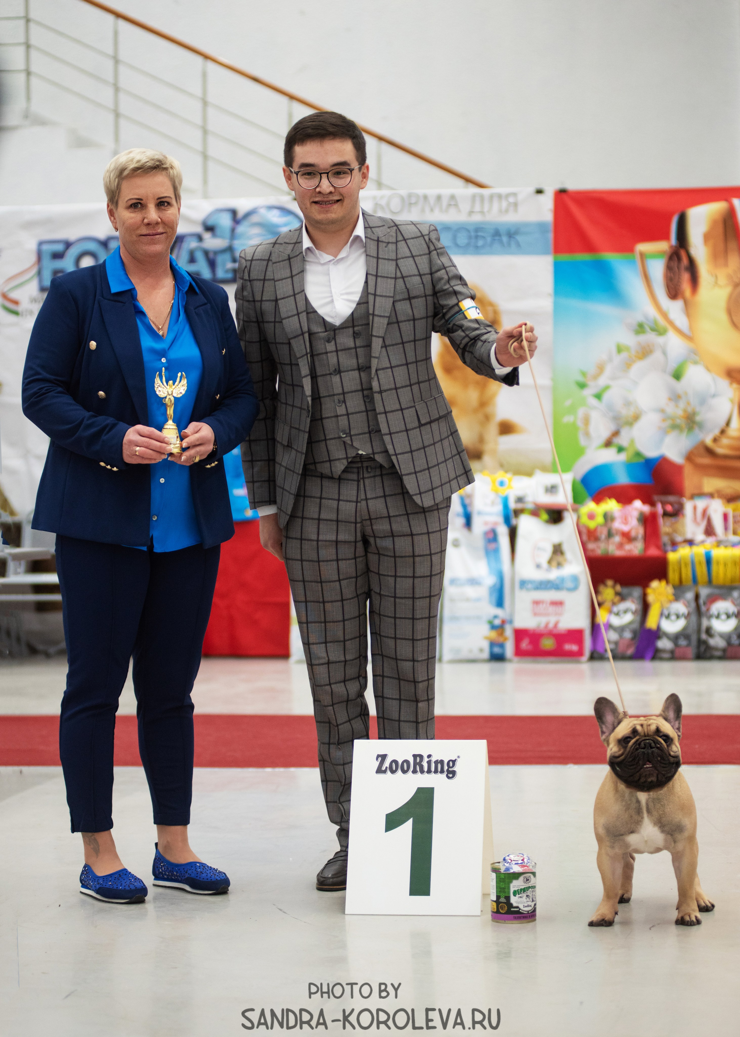 Выставка собак тюмень 10.12.2022. Дог-фотограф в Тюмени Александра Королева