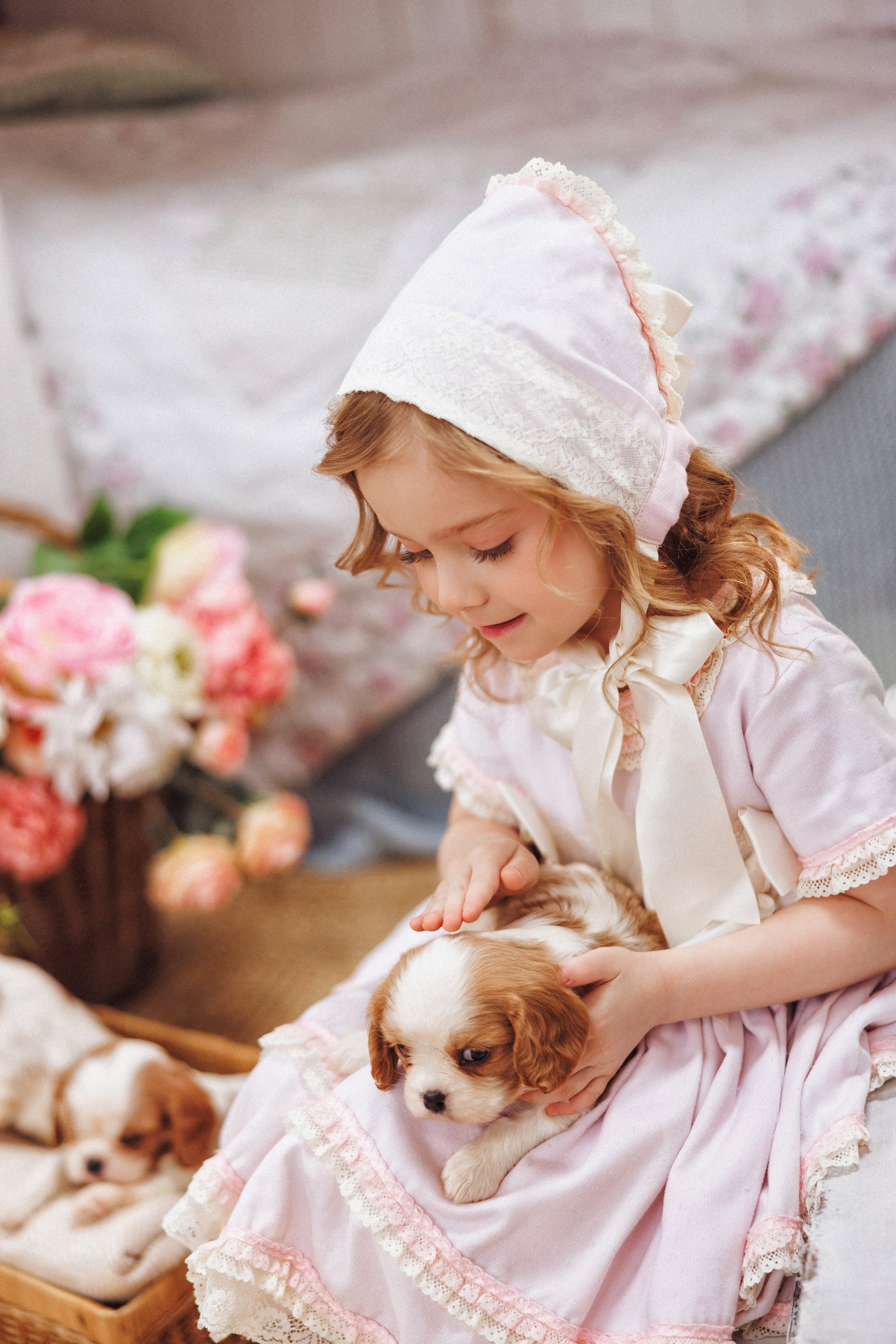 Фотосессия с щенками Кавалер кинг чарльз спаниель, фотостудия Ольги Сурухановой, город Краснодар. Семейный и детский фотограф в Краснодаре Анна Трашкова