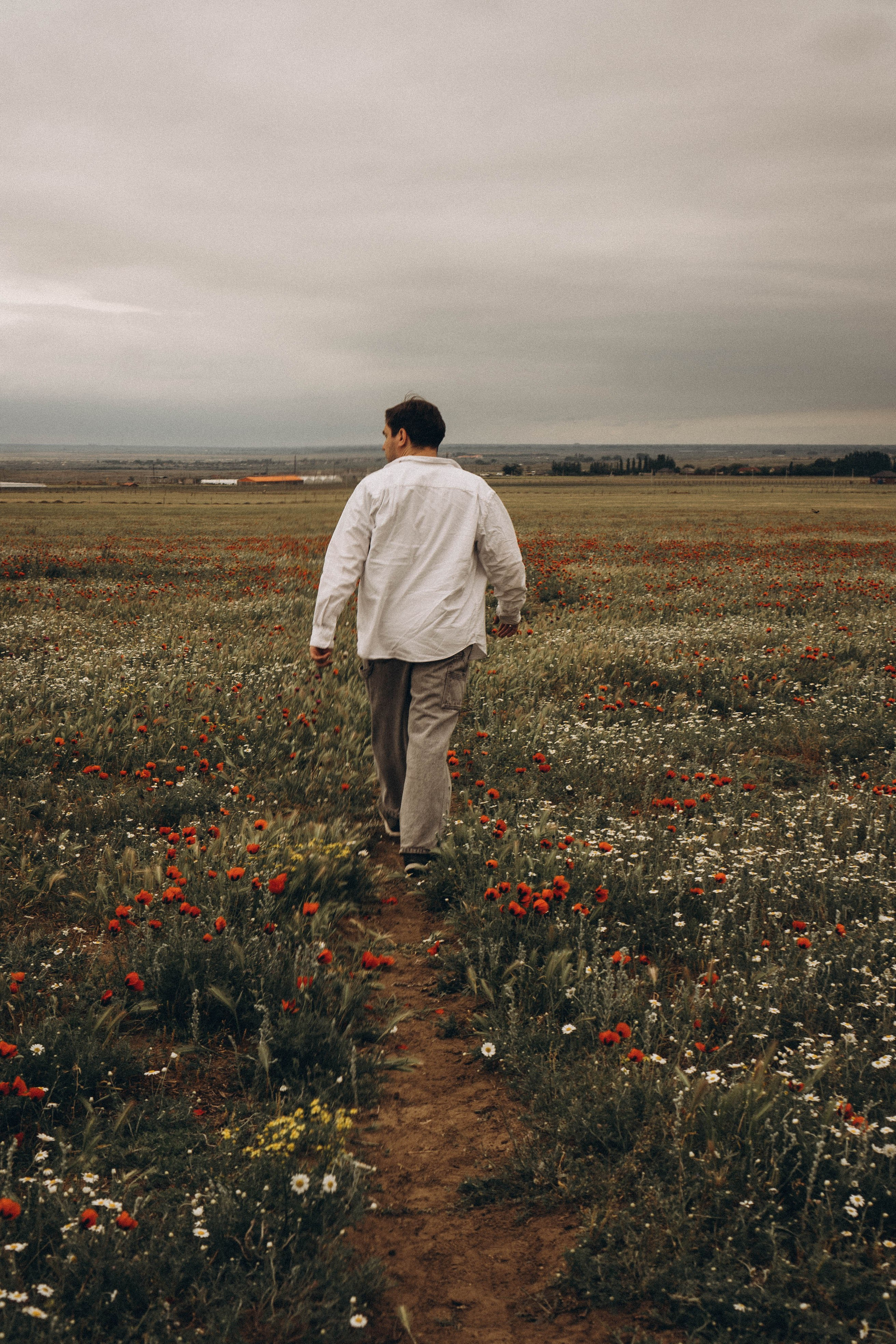 Маки. Профессиональный фотограф, Санкт-Петербург — Виктория Богомолова