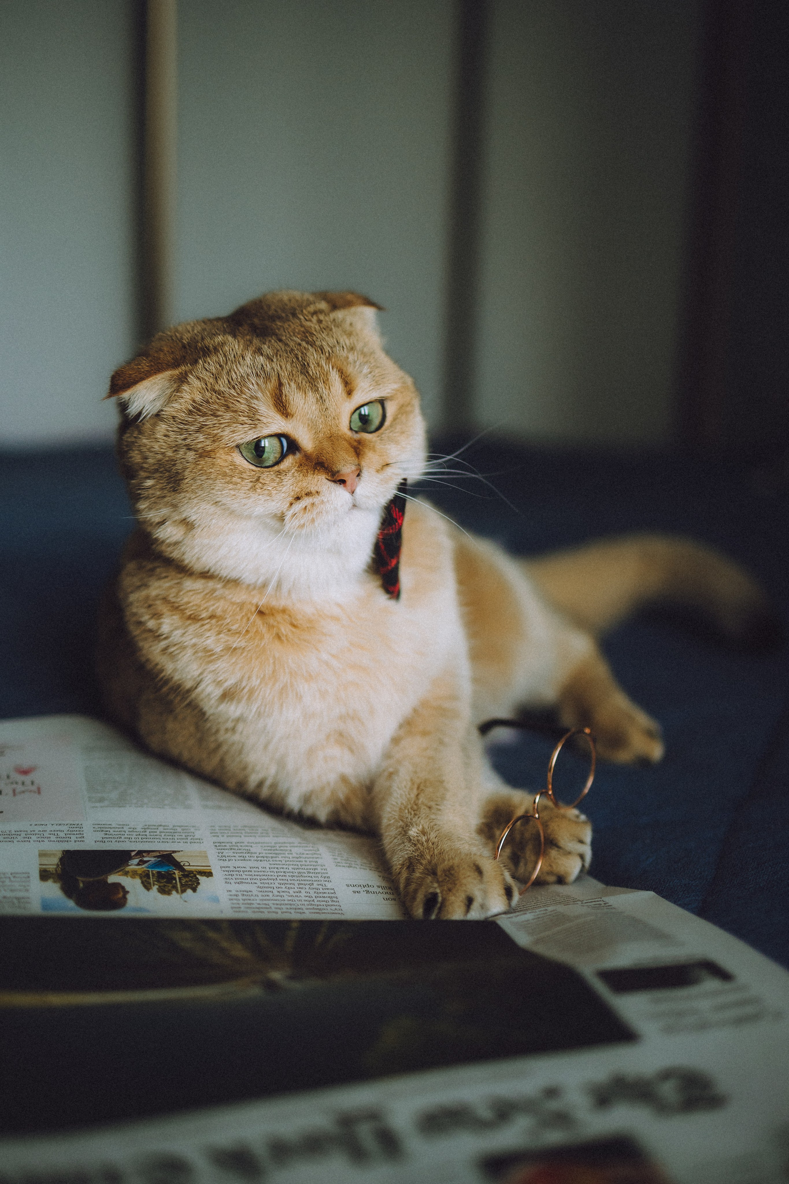 Генри и его семья