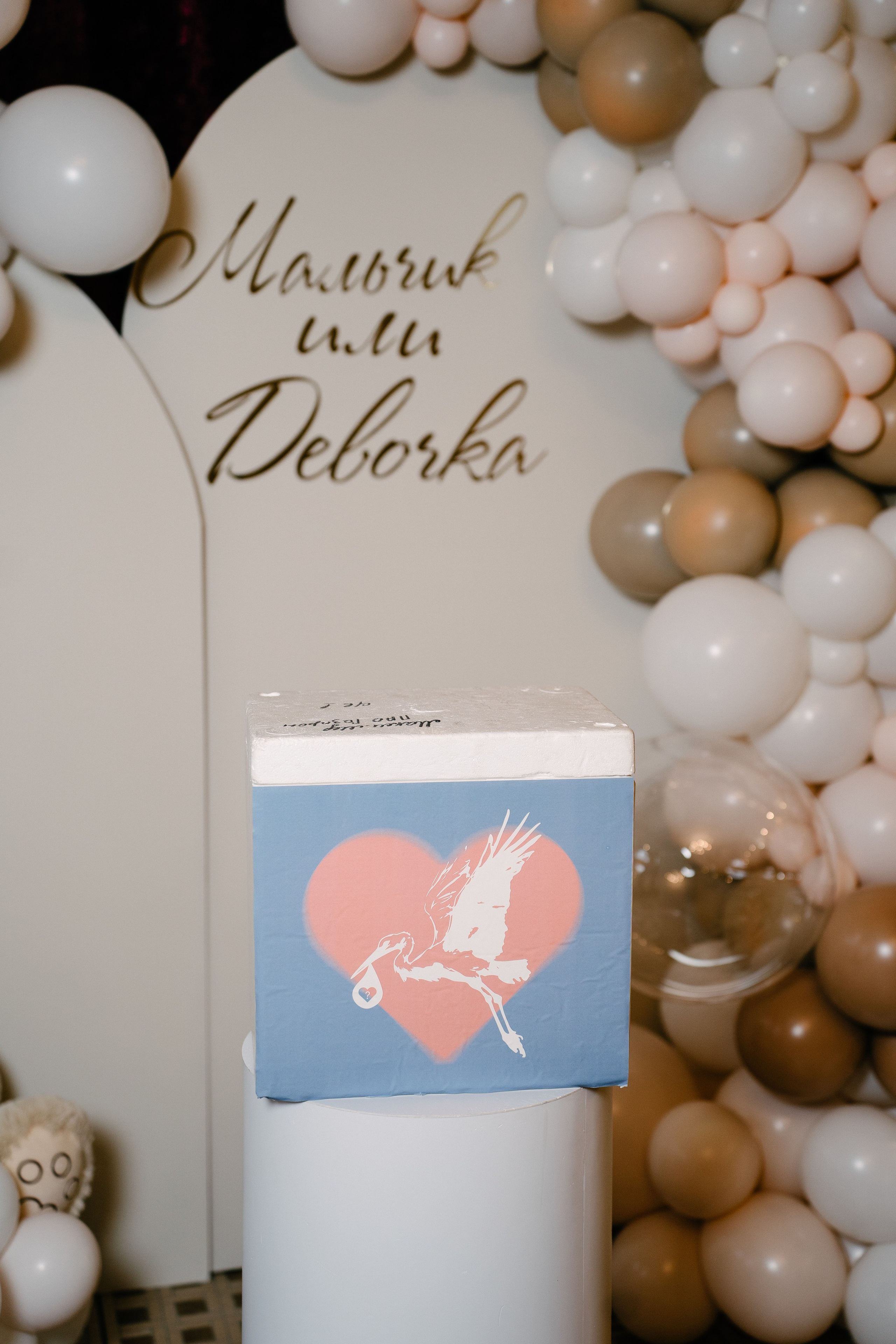 Мальчик или Девочка?. Свадебный и семейный фотограф в Воронеже Анастасия Бойко