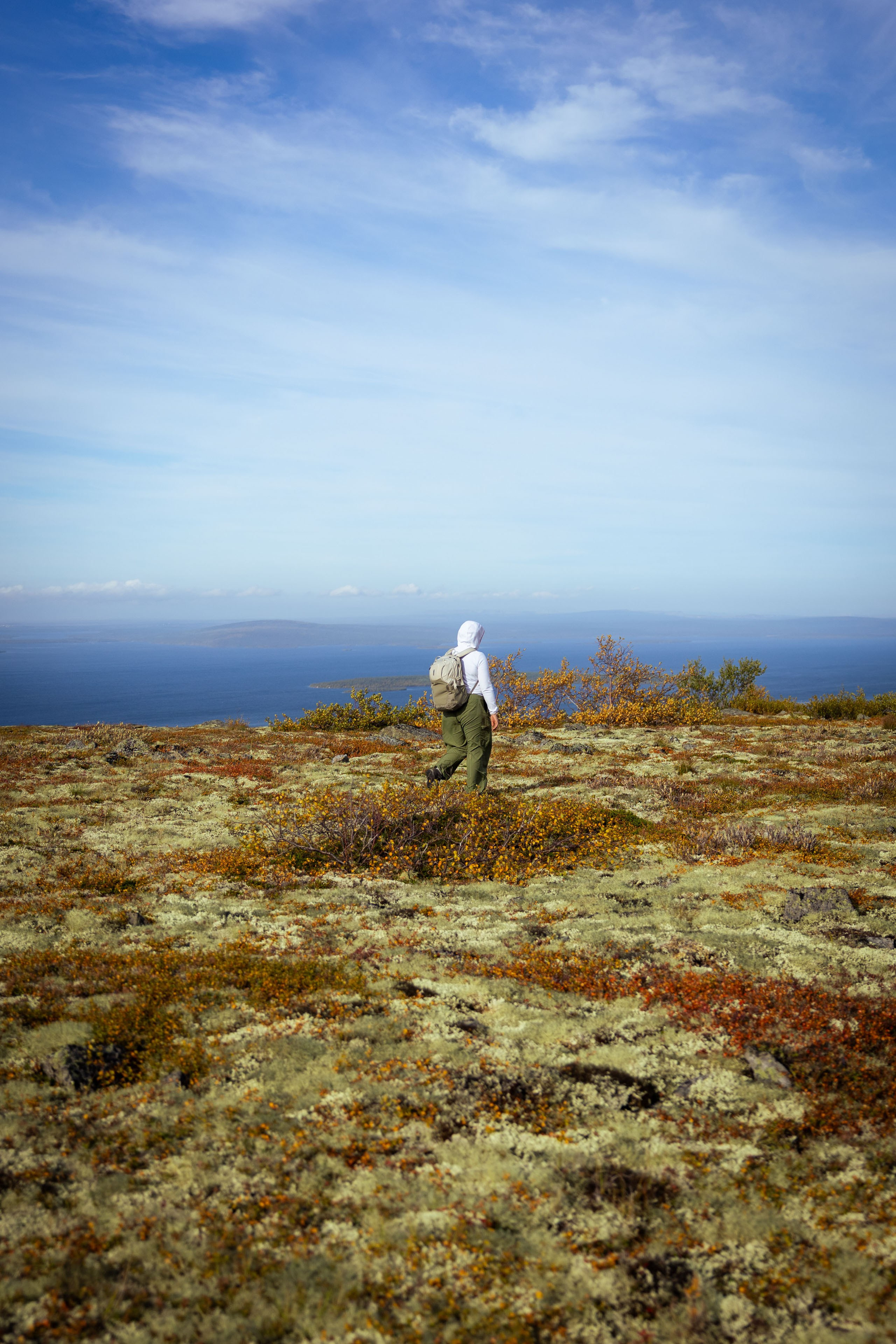 Кольский (осень 2025). Фотограф Виноградов Константин
