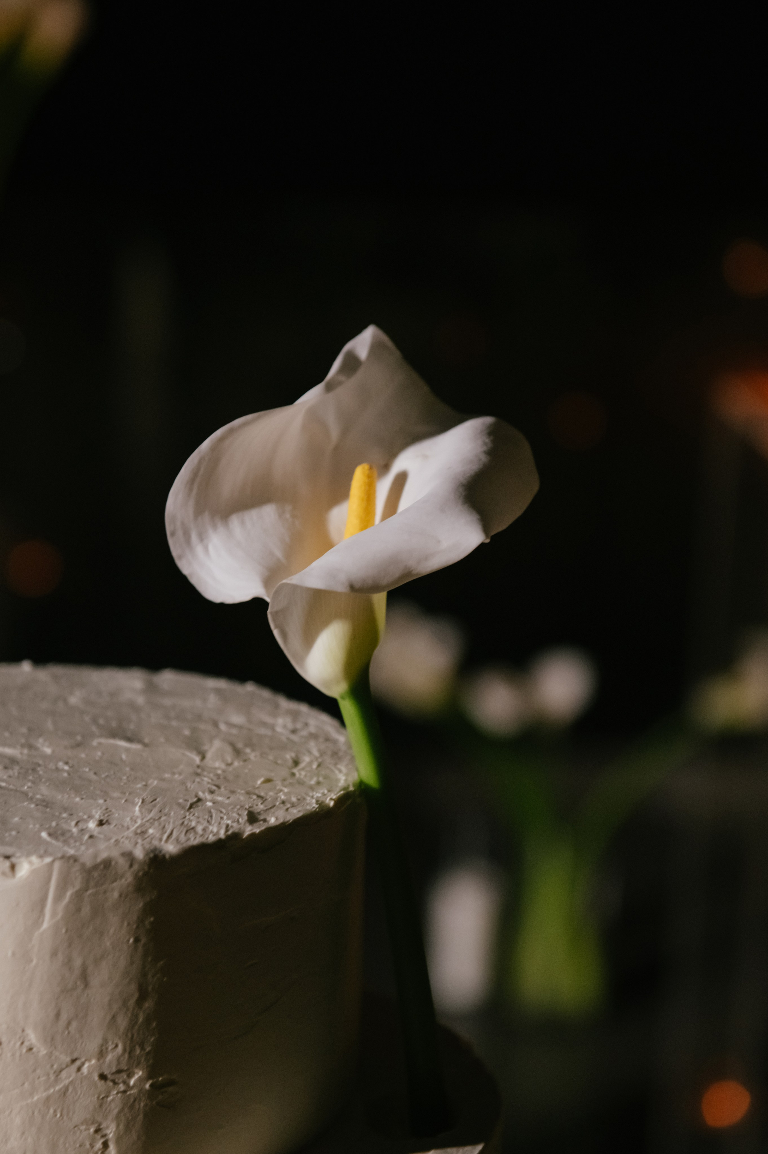 Никита и Анастасия (с.Николаевка). Свадебный, женский, семейный фотограф в Севастополе Юлия Мошенко