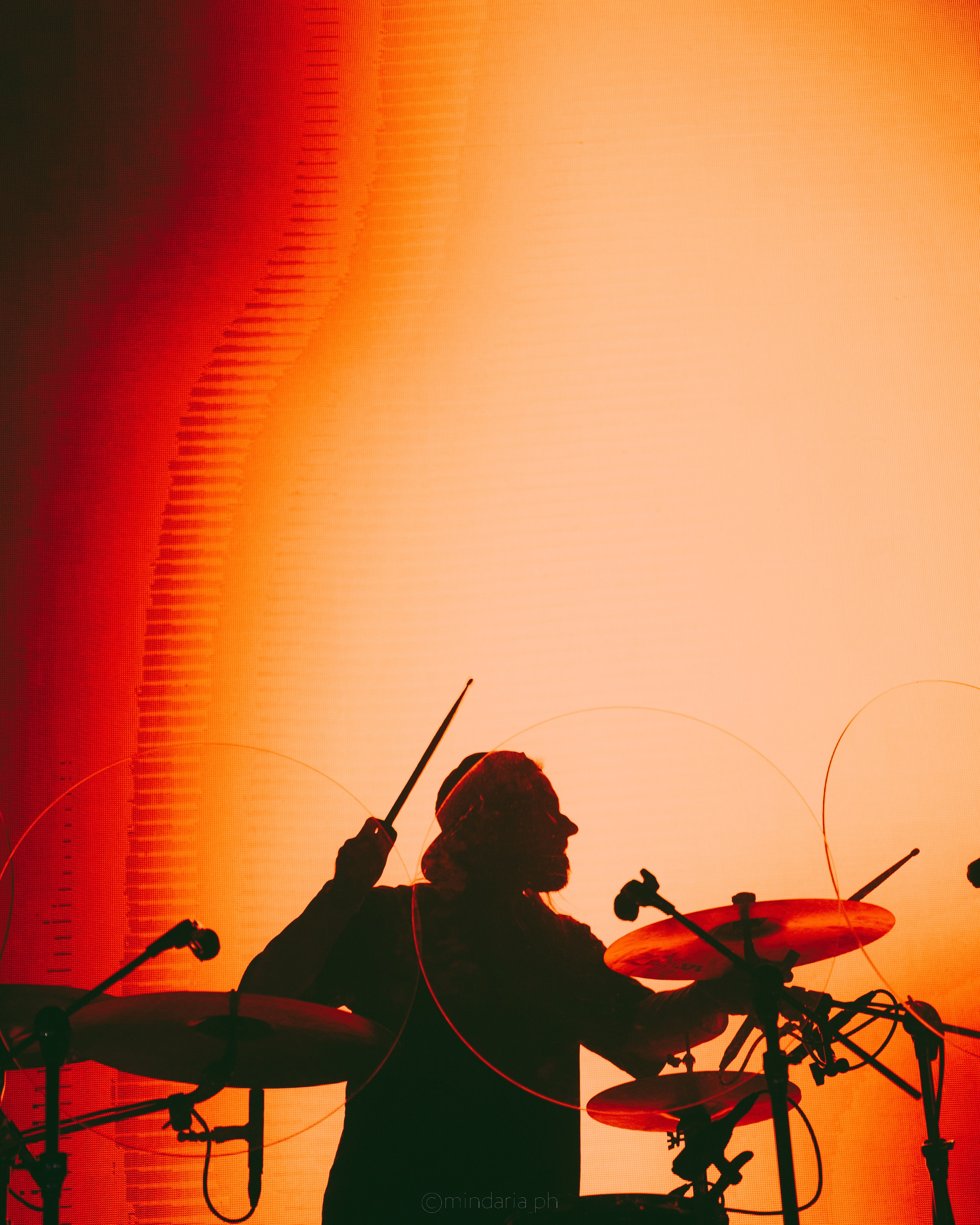 Операция Пластилин, 16.11.2025. Фотоведьма Дарья Нечинская