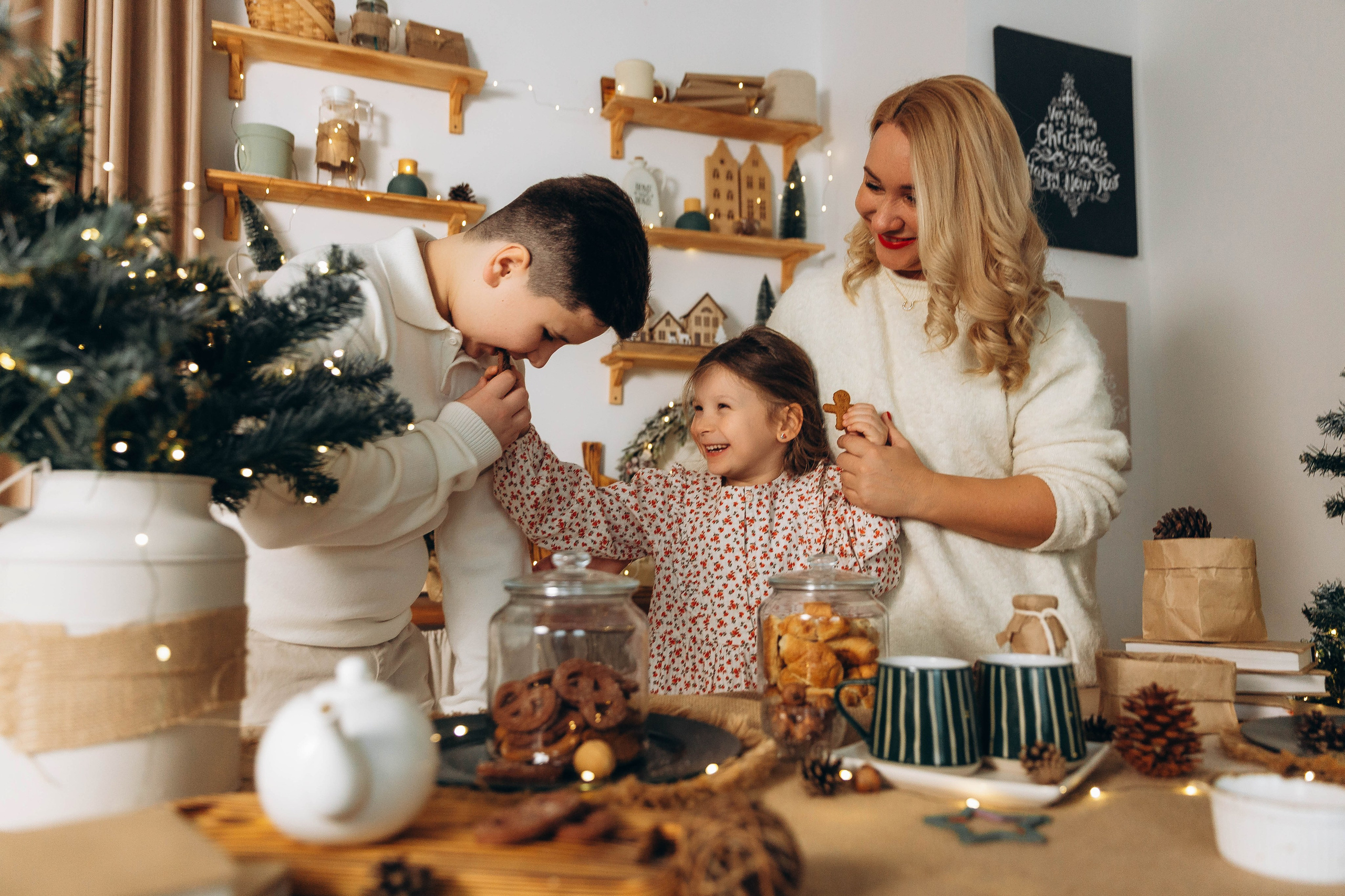 Семейная Новый год. Katerina Schastlivaya