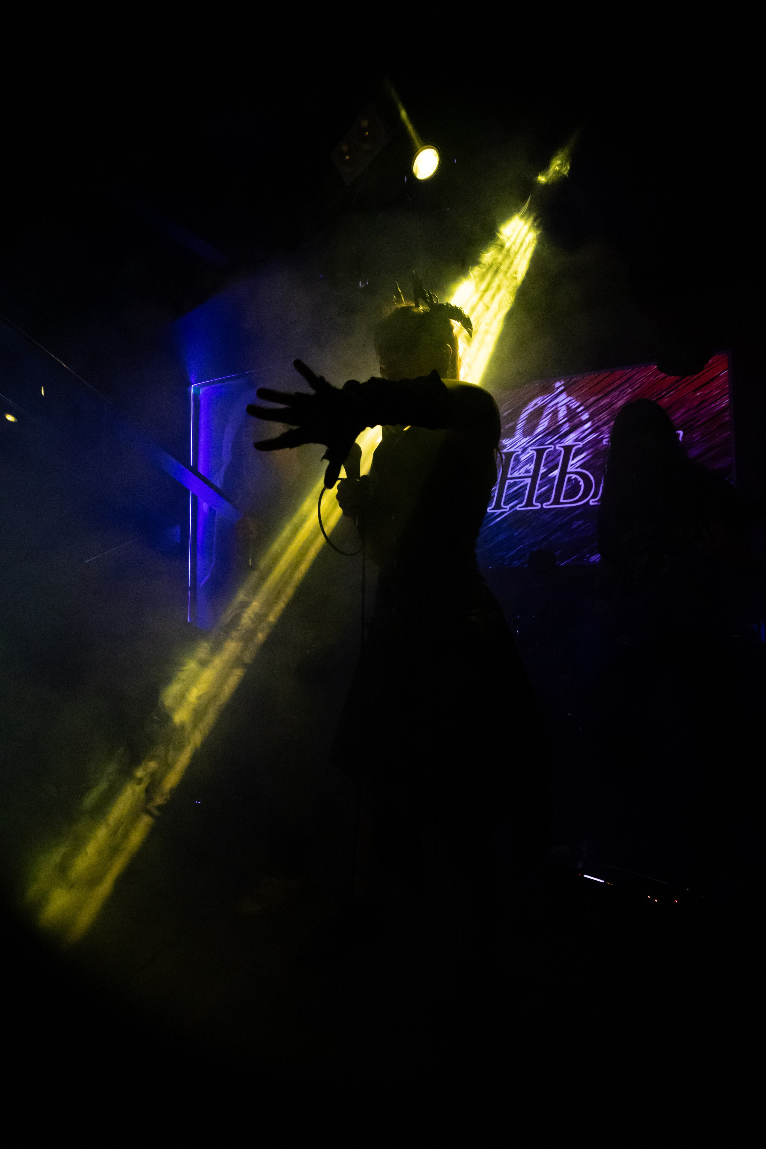 Иные. Rock night, клуб-галерея Эрмитаж. 15.11.2024. Фотограф Регина Крикунова г. Красноярск