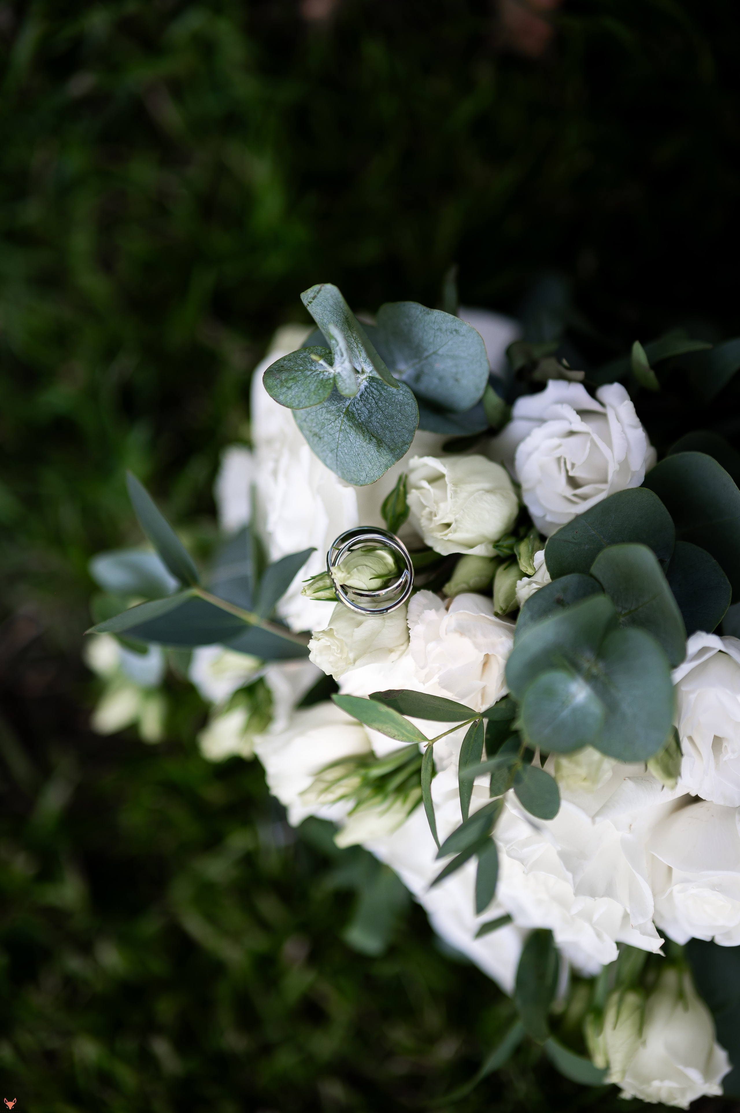 Wedding 02 08 24. Свадебный Фотограф Абакан