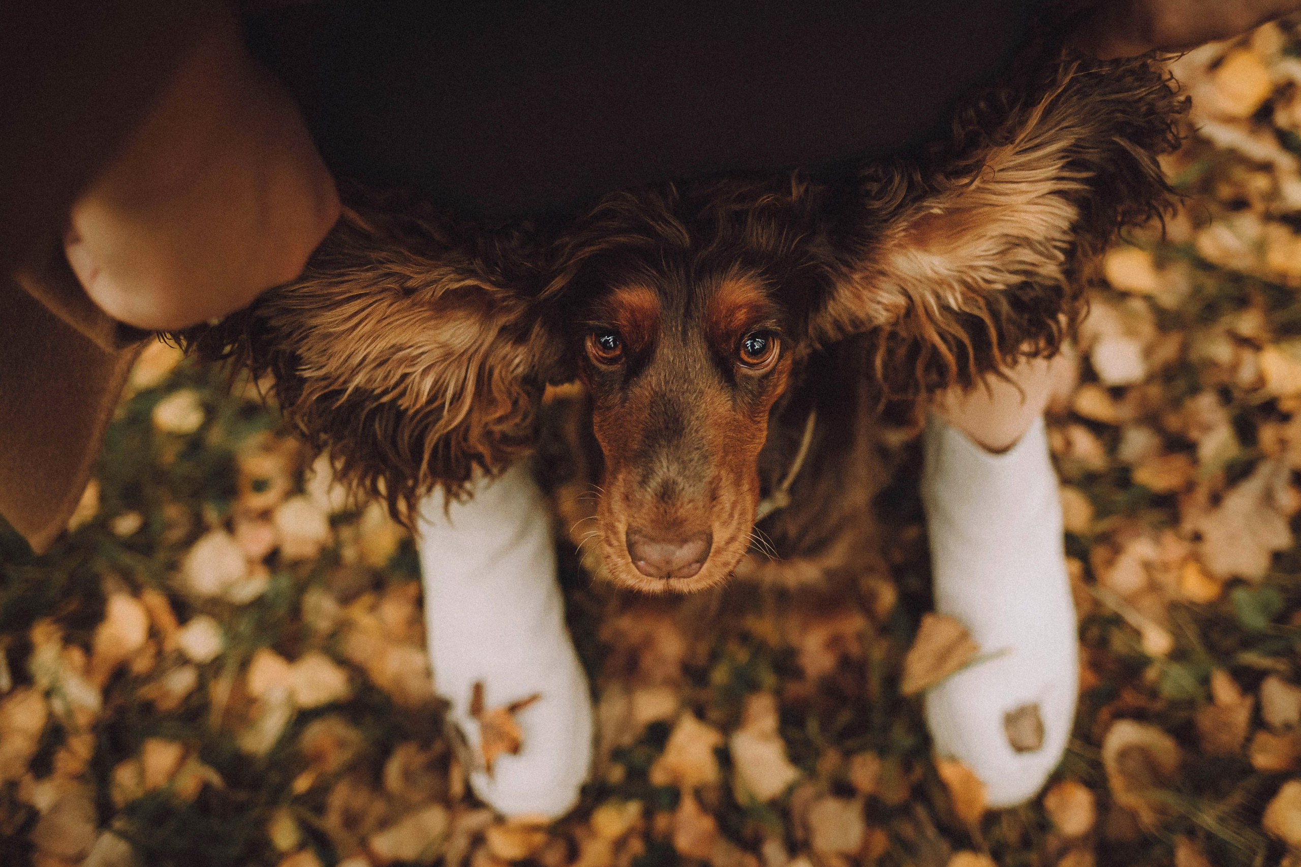 Настя, Саша и Эстер