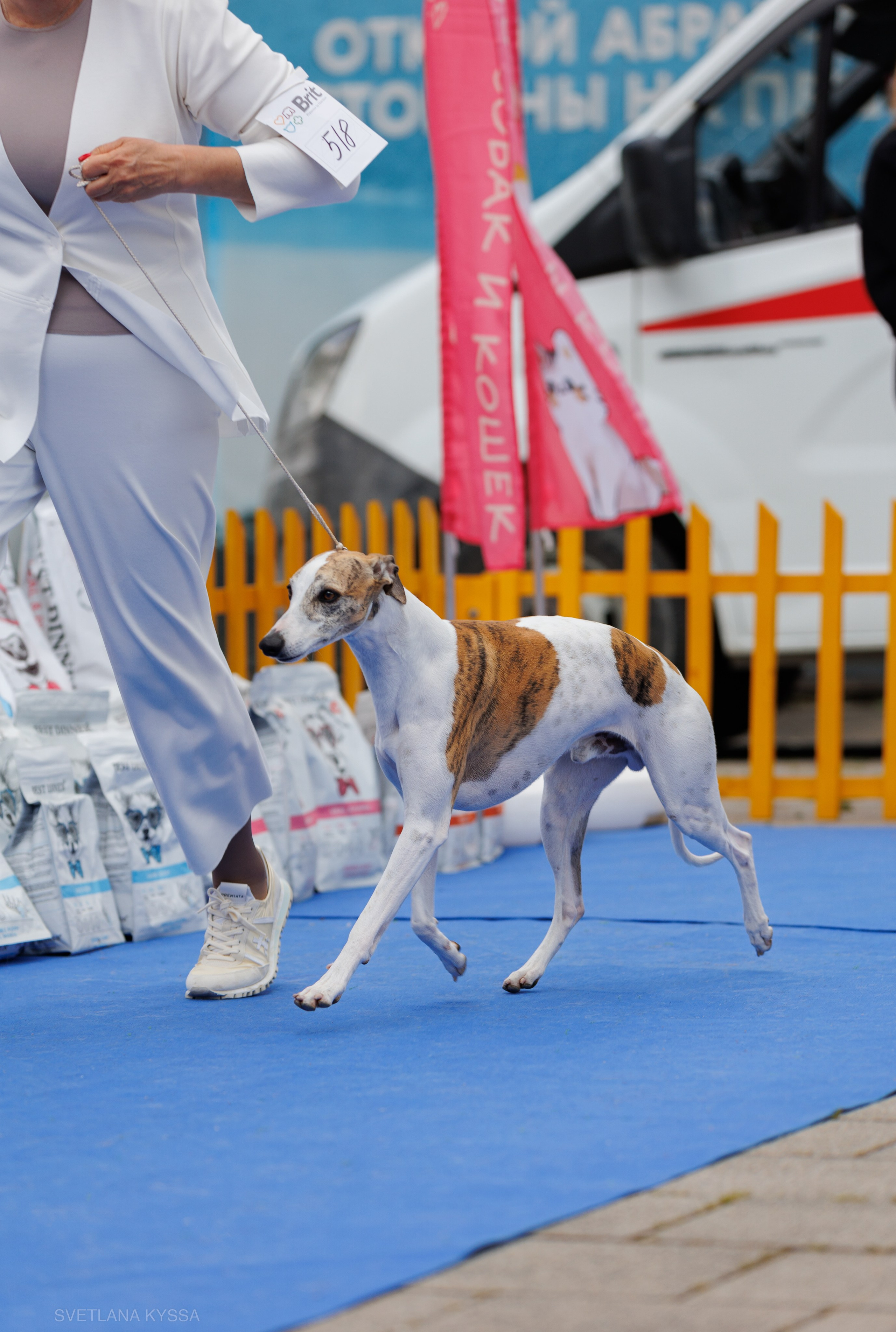 Фото с выставки собак. Фотограф — анималист Светлана Кысса|фотограф собак в Краснодаре и Нижнем Новгороде