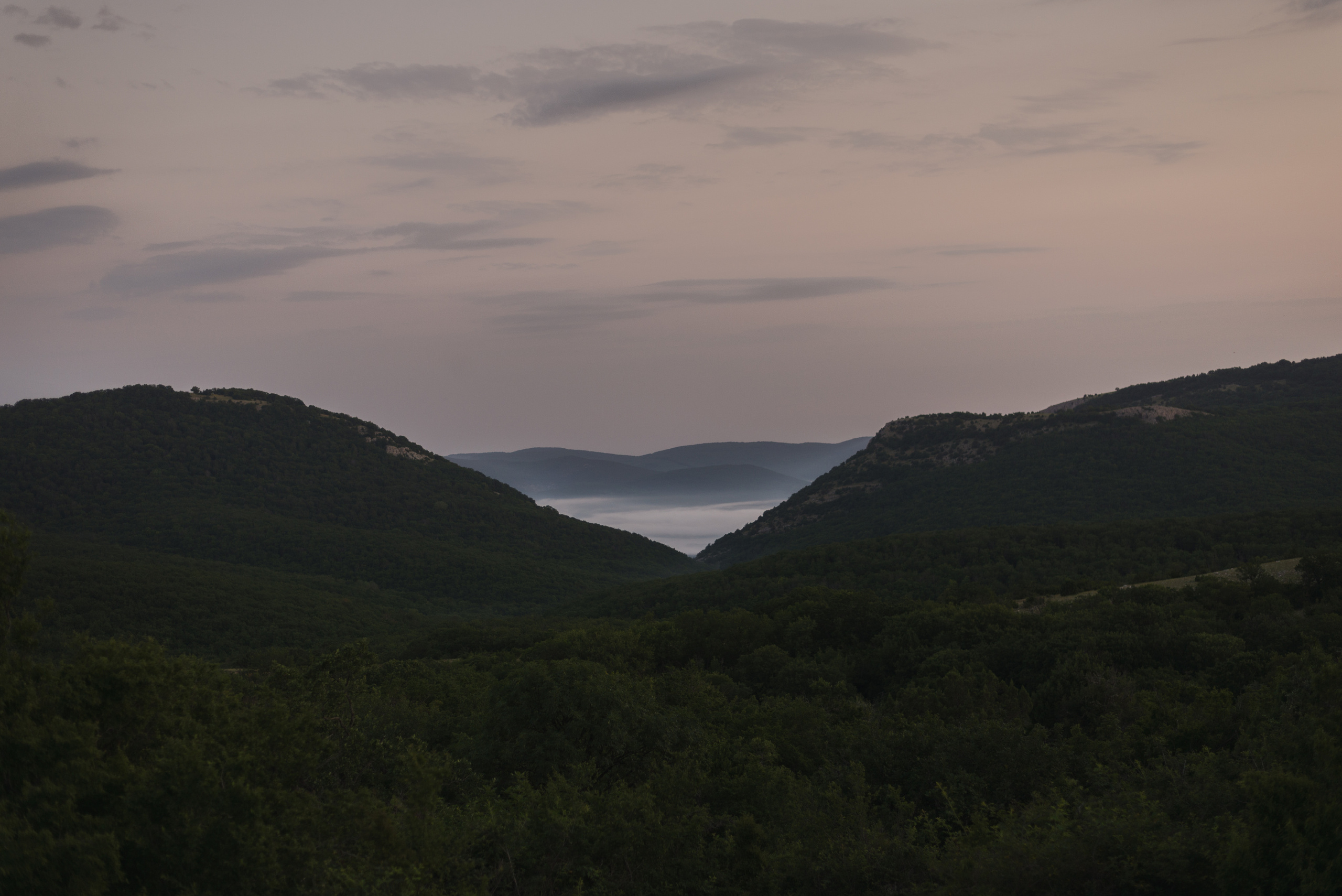 Нас трое. Семейный и свадебный фотограф в Севастополе Лиза Печенько