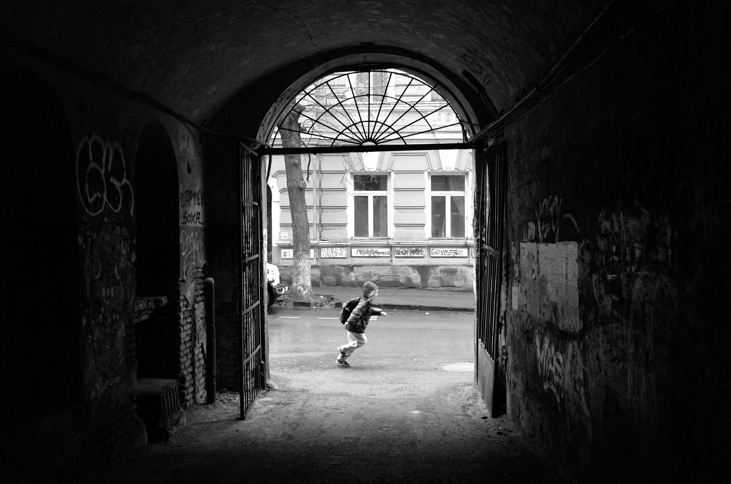 Фотографии из Грузии для интерьеров. Фотографии Руслана Сайдалиева (Рус Сай)