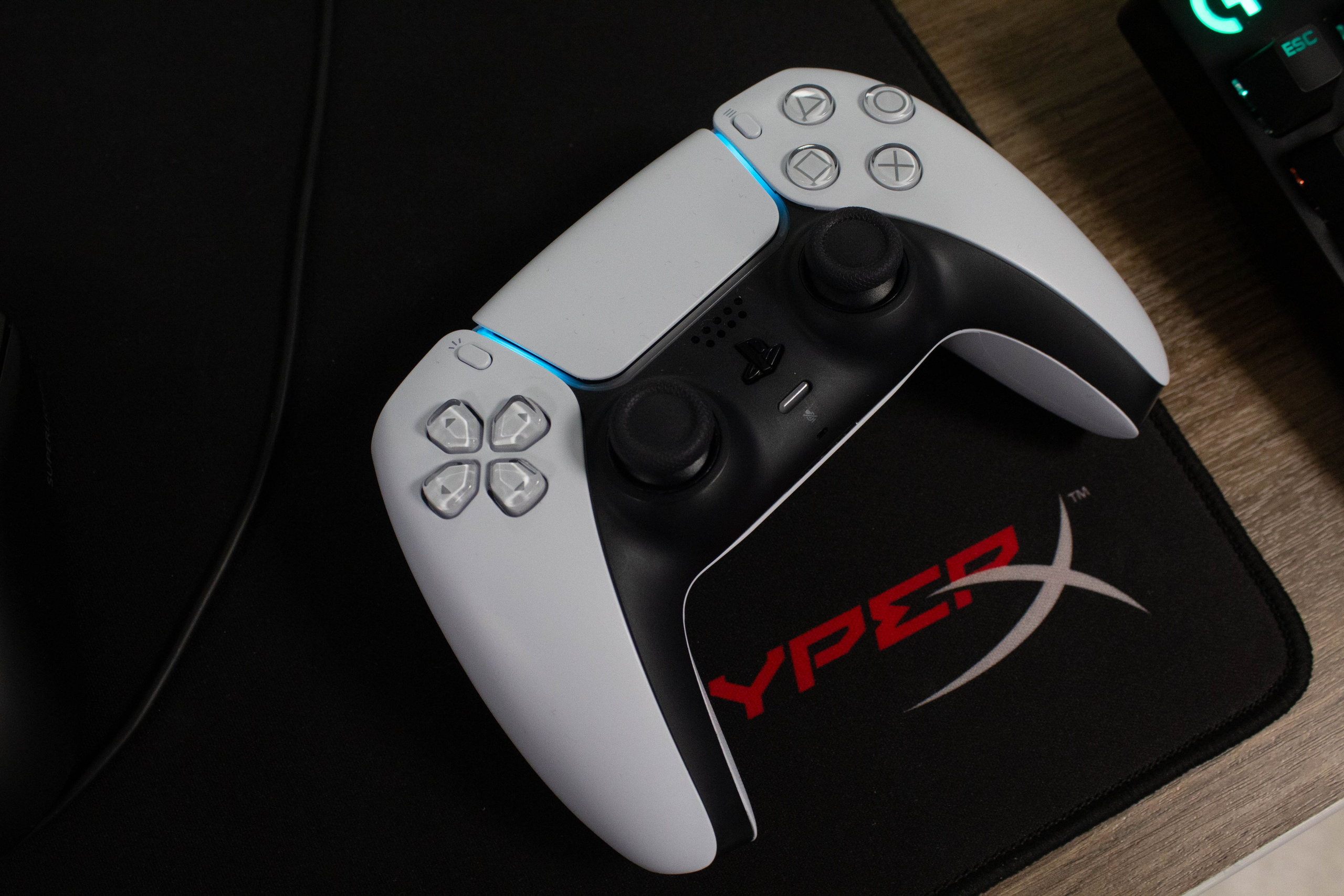 Polycup. Карпогоры, Санкт-Петербург