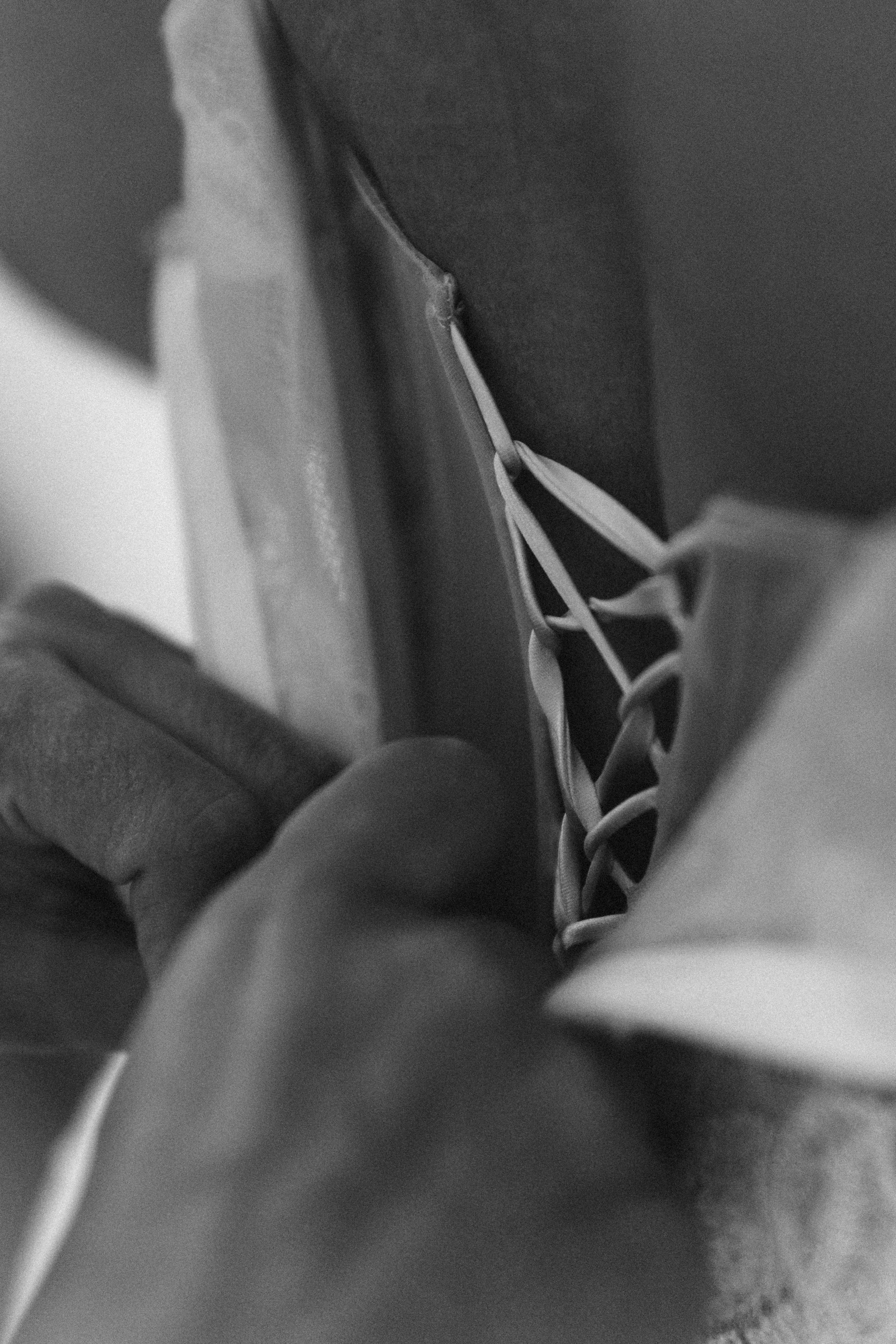 A&K. Свадебный фотограф в Красноярске Абраменко Настя