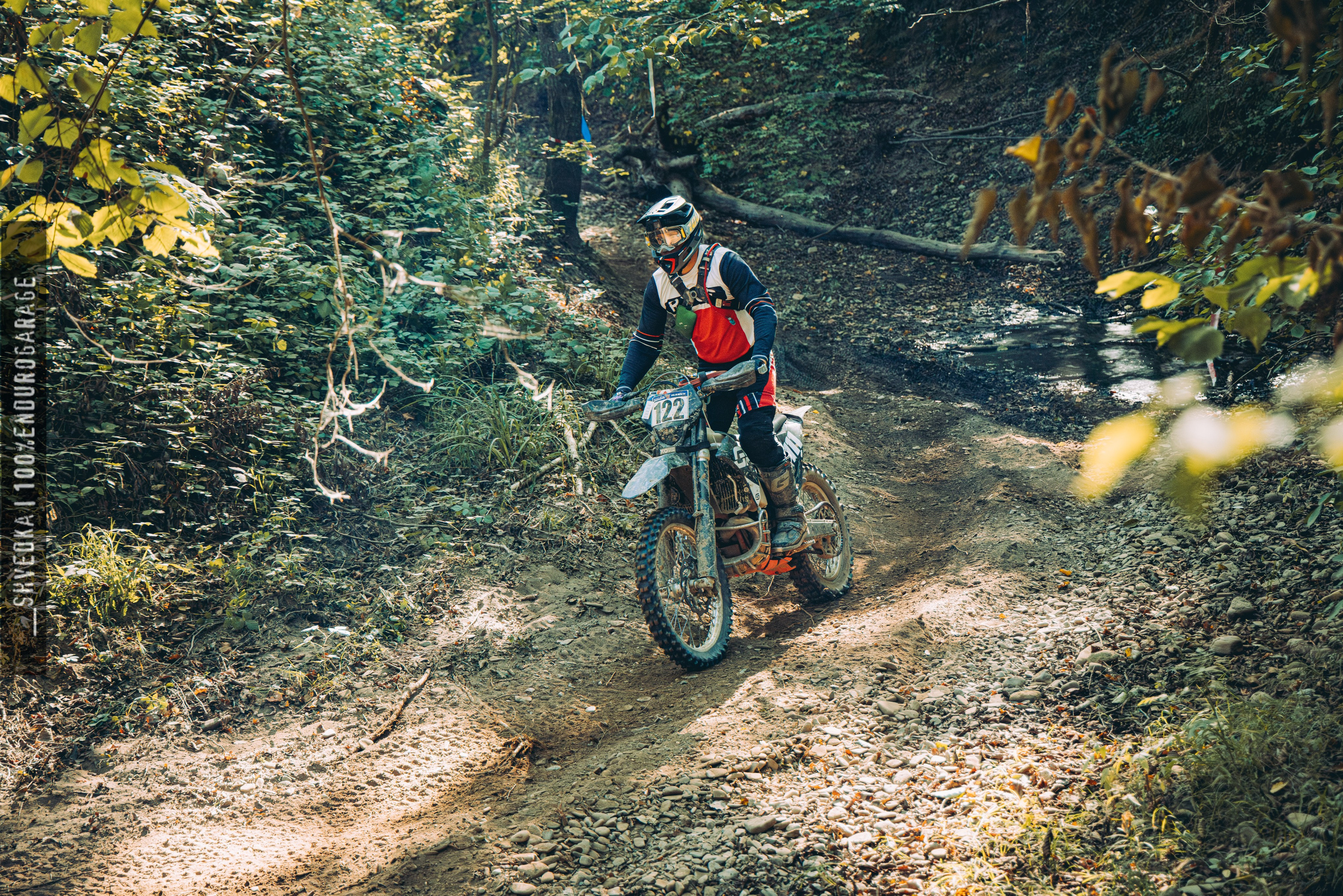 2 лесной день. Ваш экстрим фотограф Кудрева Яна