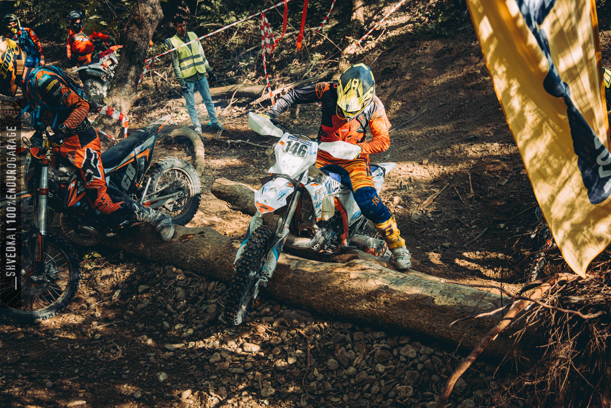 2 лесной день. Ваш экстрим фотограф Кудрева Яна